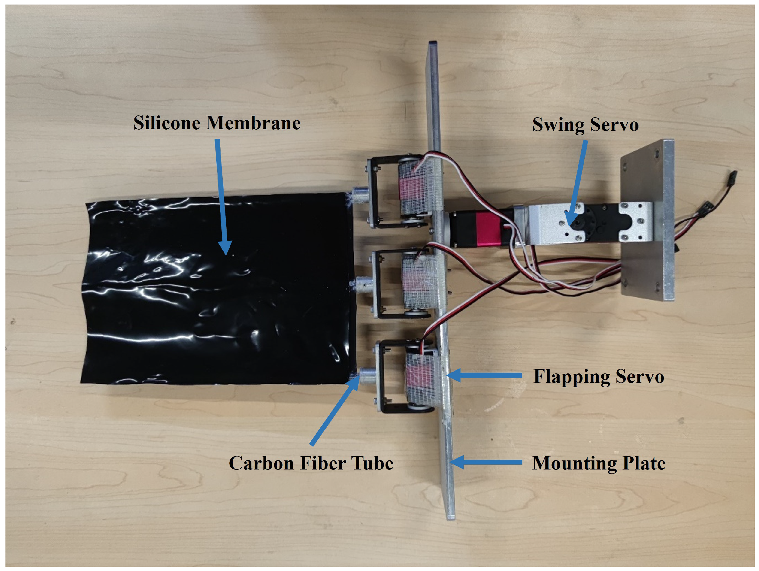 Biomimetics 09 00581 g006