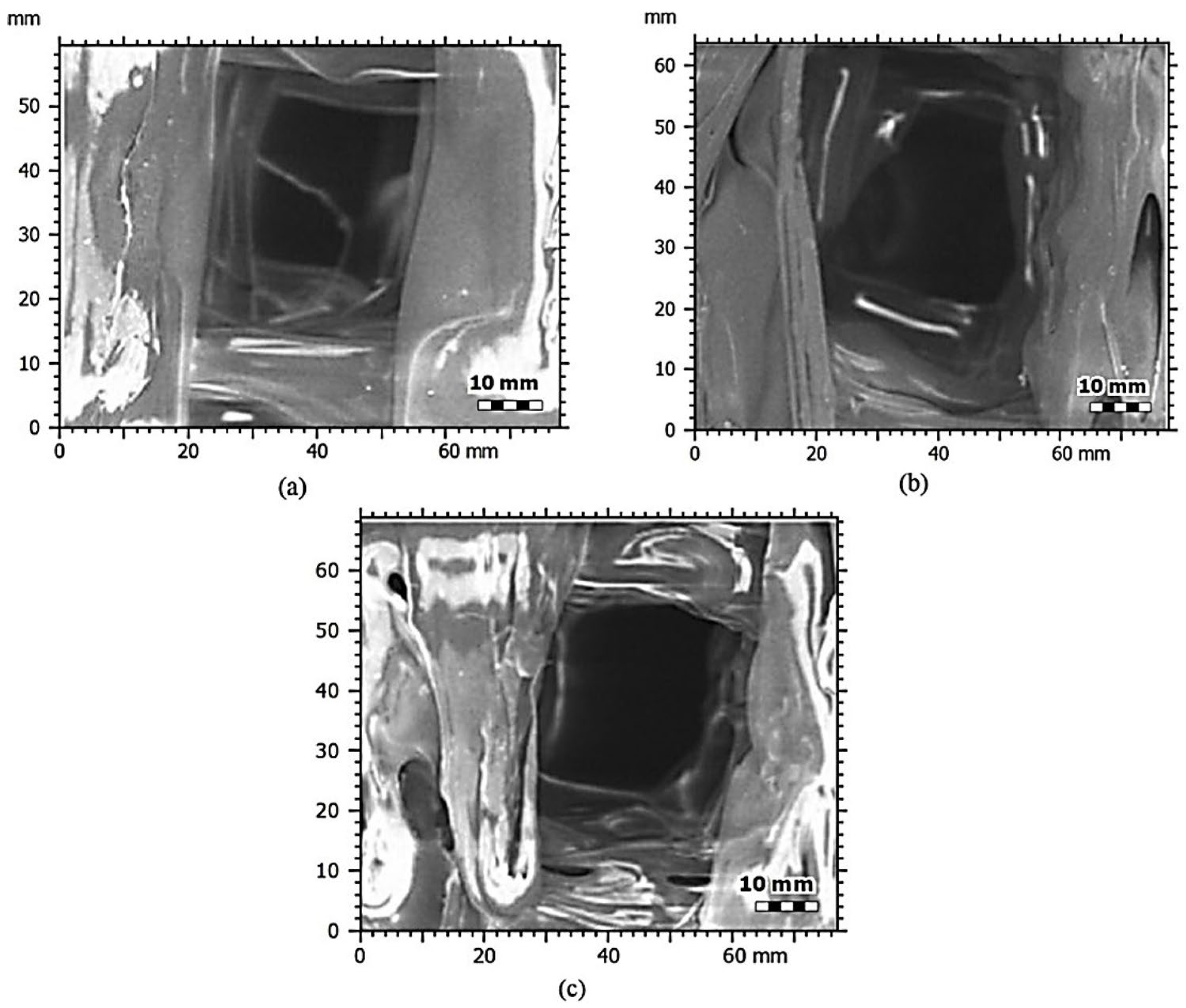 Biomimetics 09 00587 g005