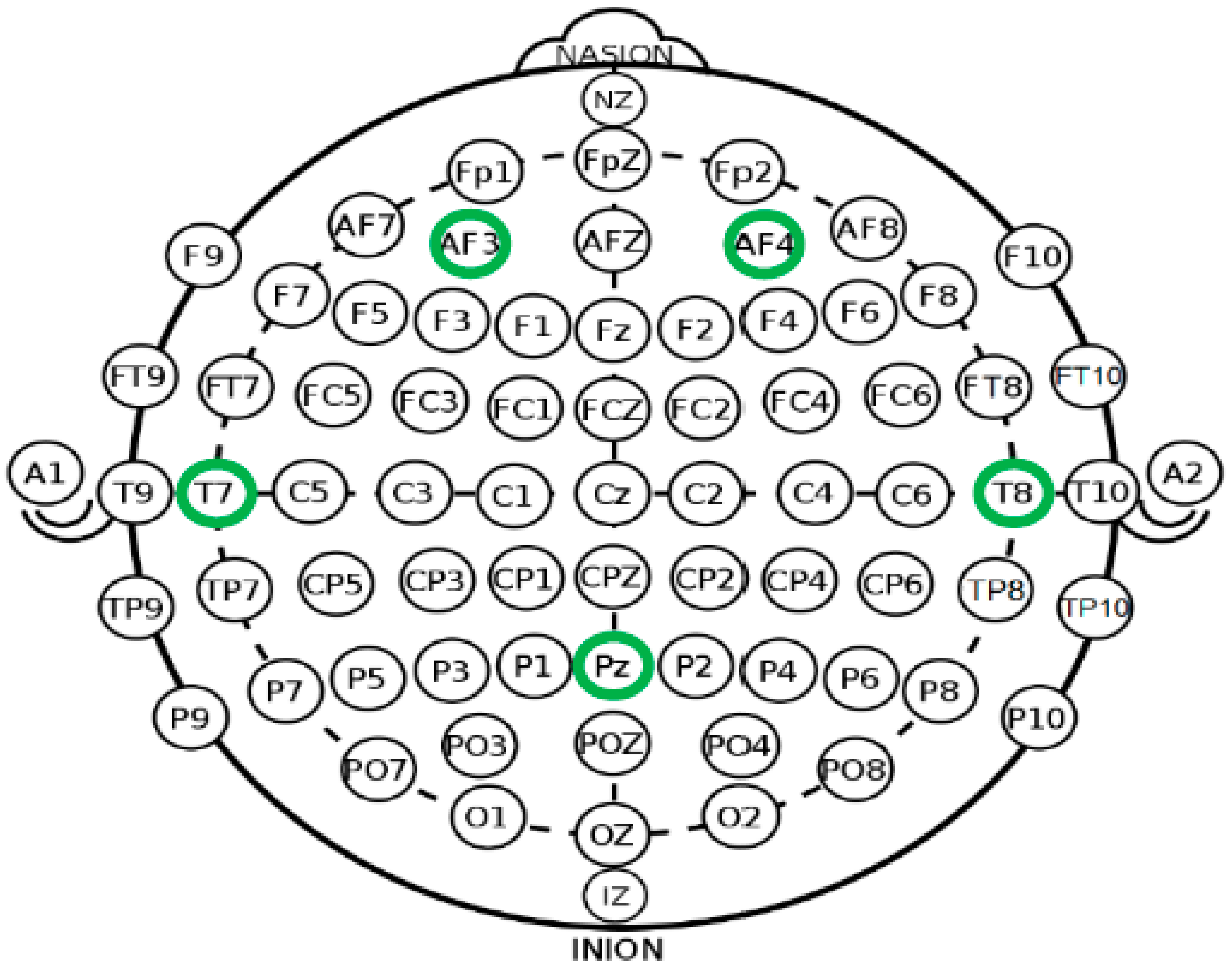 Biomimetics 09 00594 g013