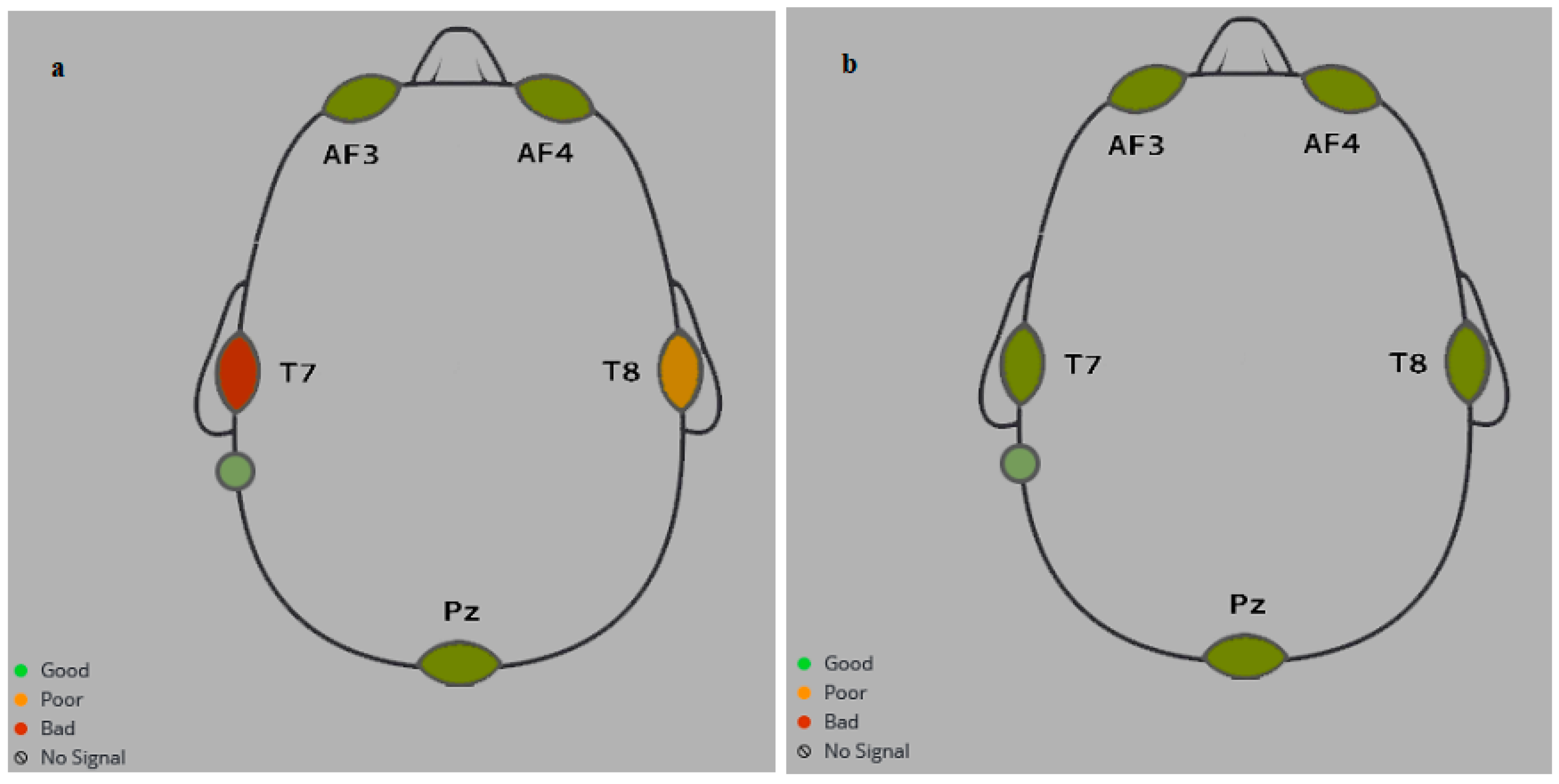 Biomimetics 09 00594 g016