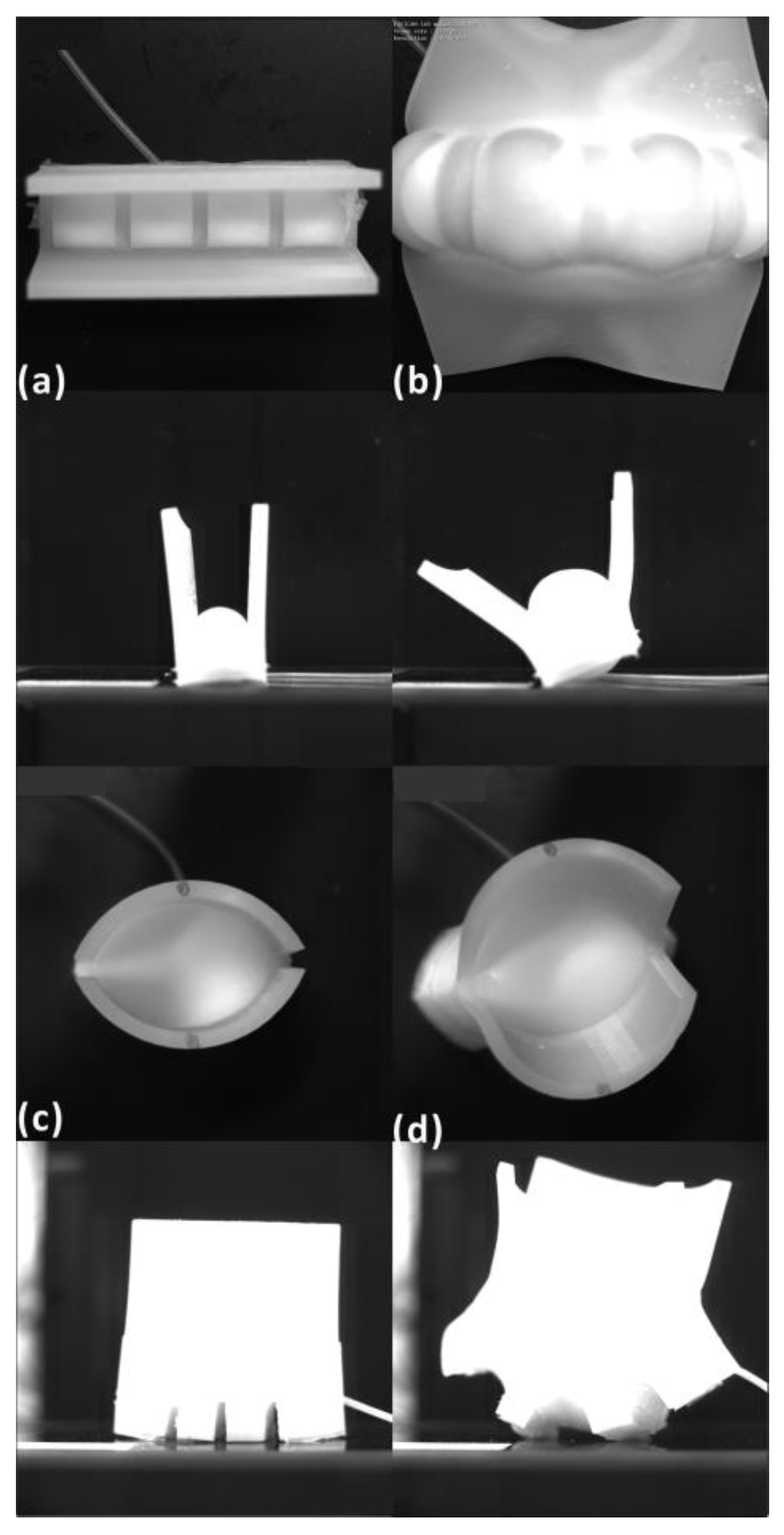 Biomimetics 09 00597 g006