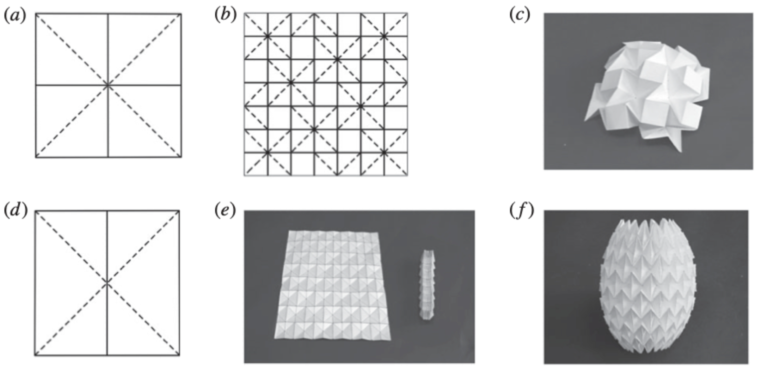 Biomimetics 09 00600 g004