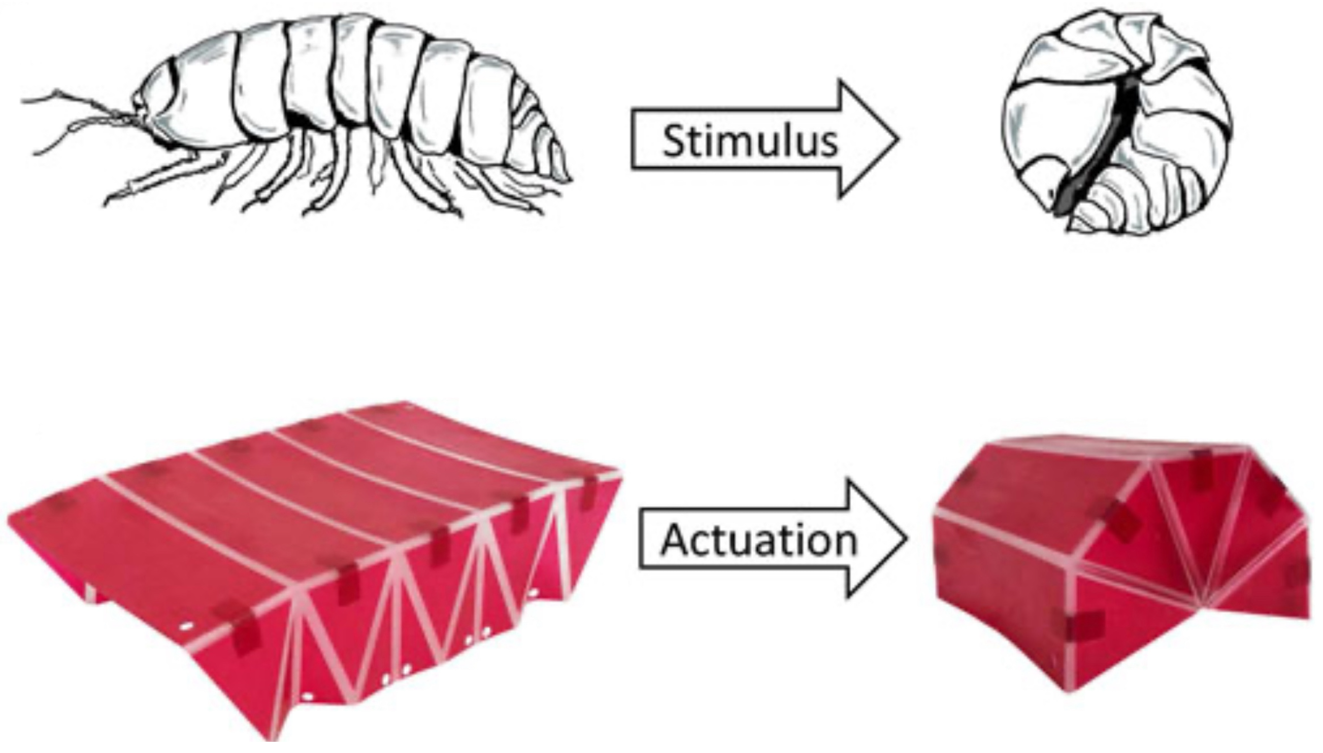 Biomimetics 09 00600 g016