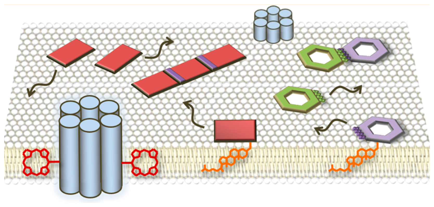 Biomimetics 09 00600 g026