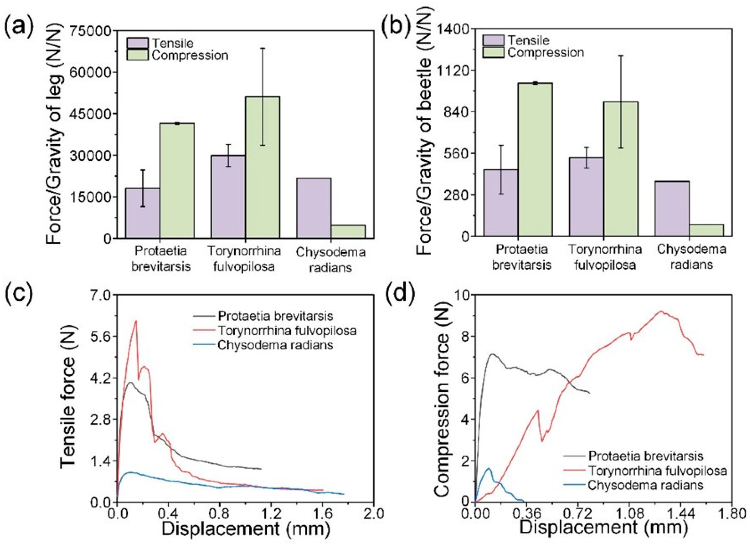 Biomimetics 09 00605 g004