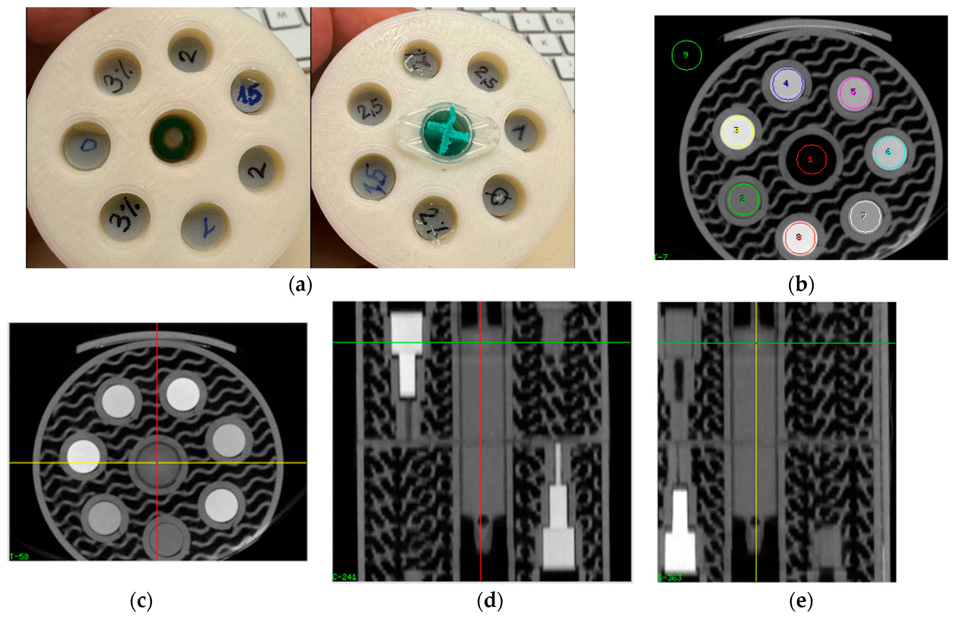 Biomimetics 09 00606 g001