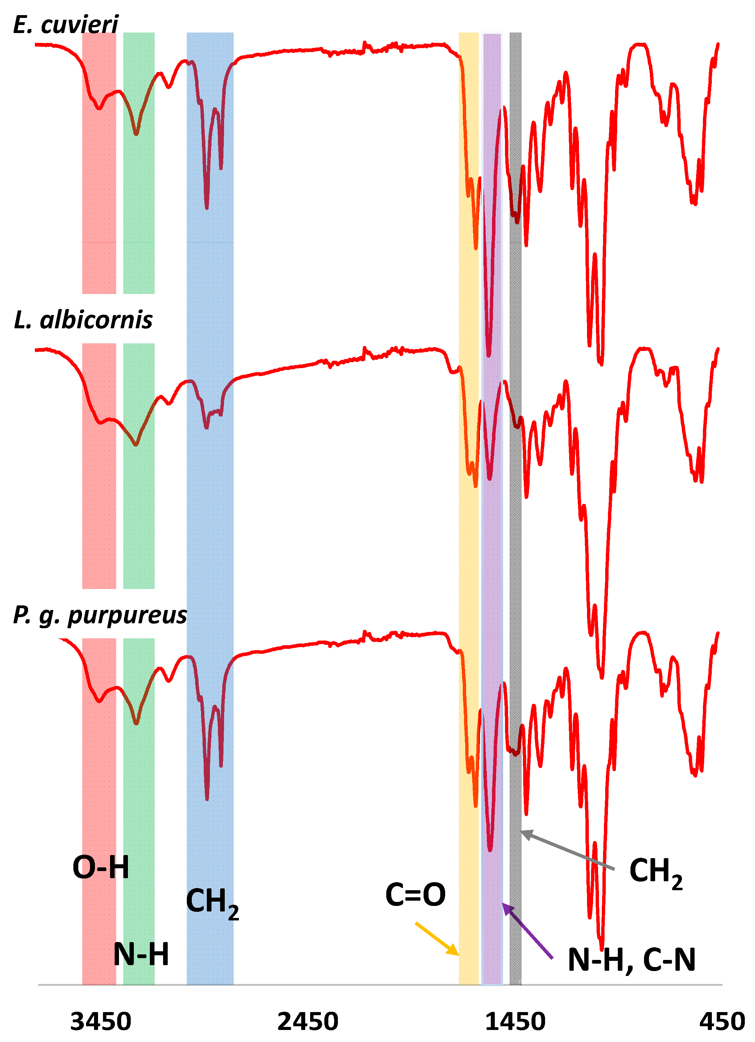 Biomimetics 09 00608 g007