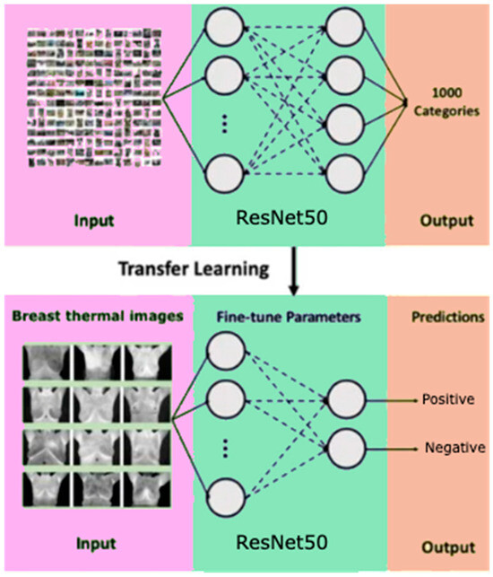 Fully Interpretable Deep Learning Model Using IR Thermal Images for ...