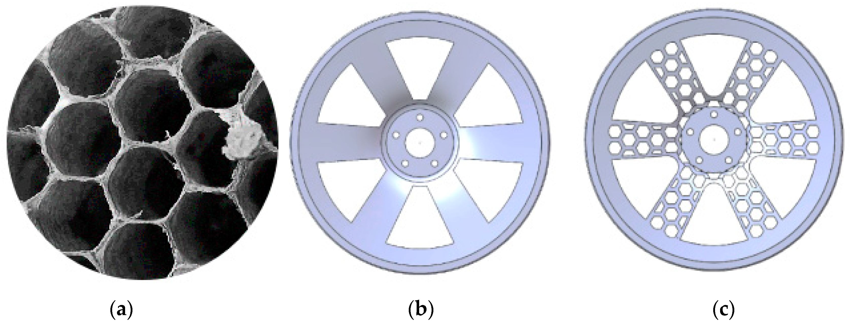 Biomimetics 09 00611 g001