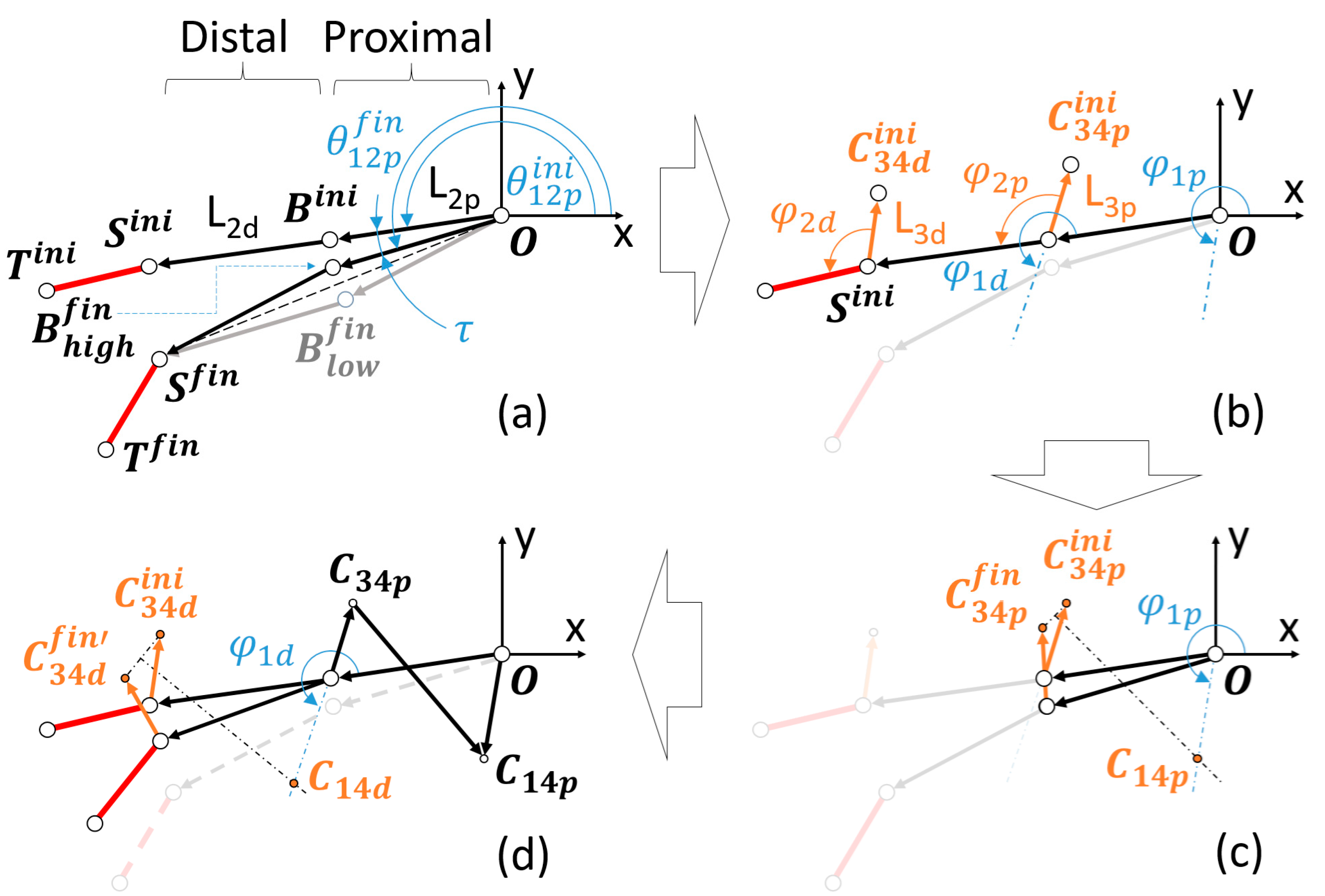 Biomimetics 09 00616 g005