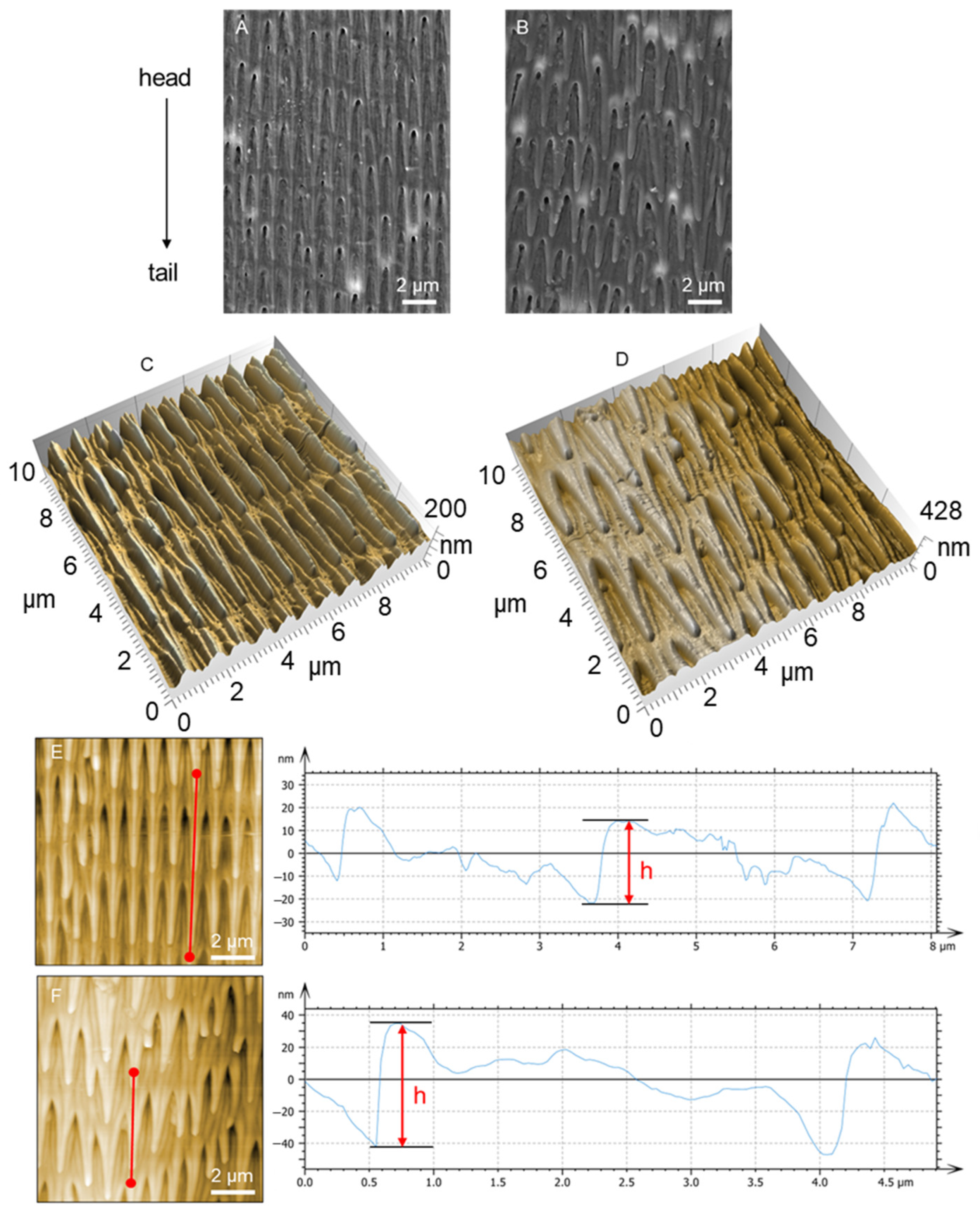 Biomimetics 09 00617 g002 Biomimetics 09 00617 g002
