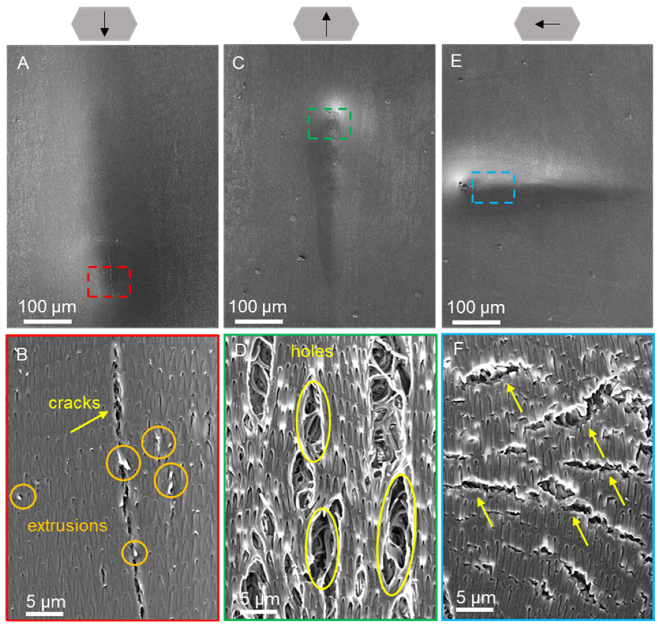Biomimetics 09 00617 g010 Biomimetics 09 00617 g010