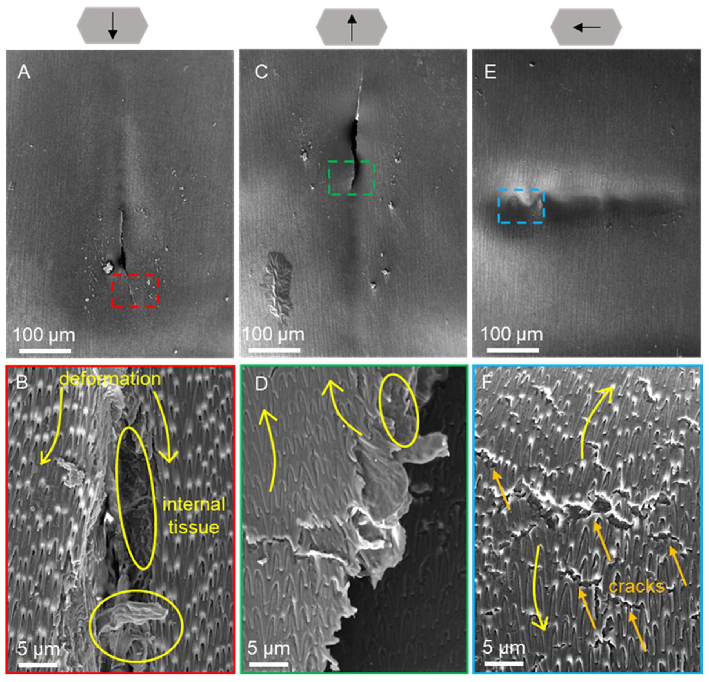Biomimetics 09 00617 g011 Biomimetics 09 00617 g011