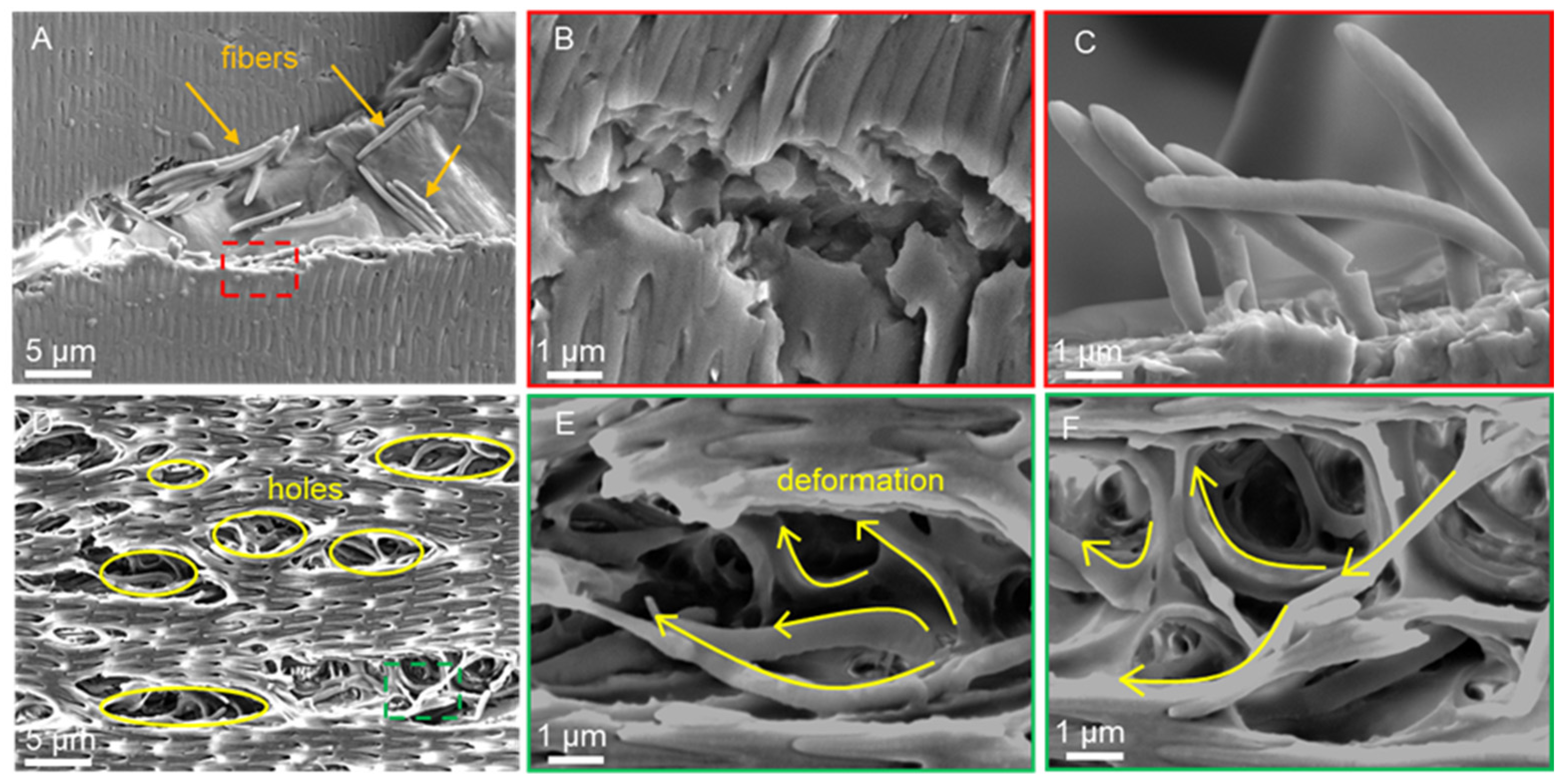 Biomimetics 09 00617 g012 Biomimetics 09 00617 g012