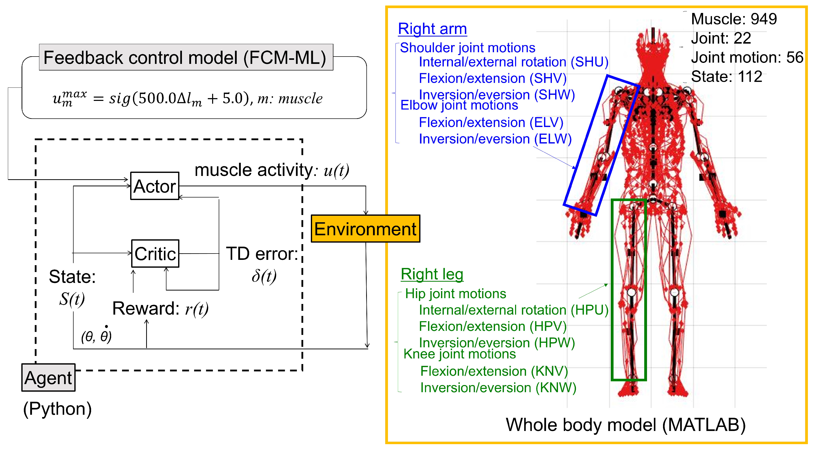 Biomimetics 09 00618 g001