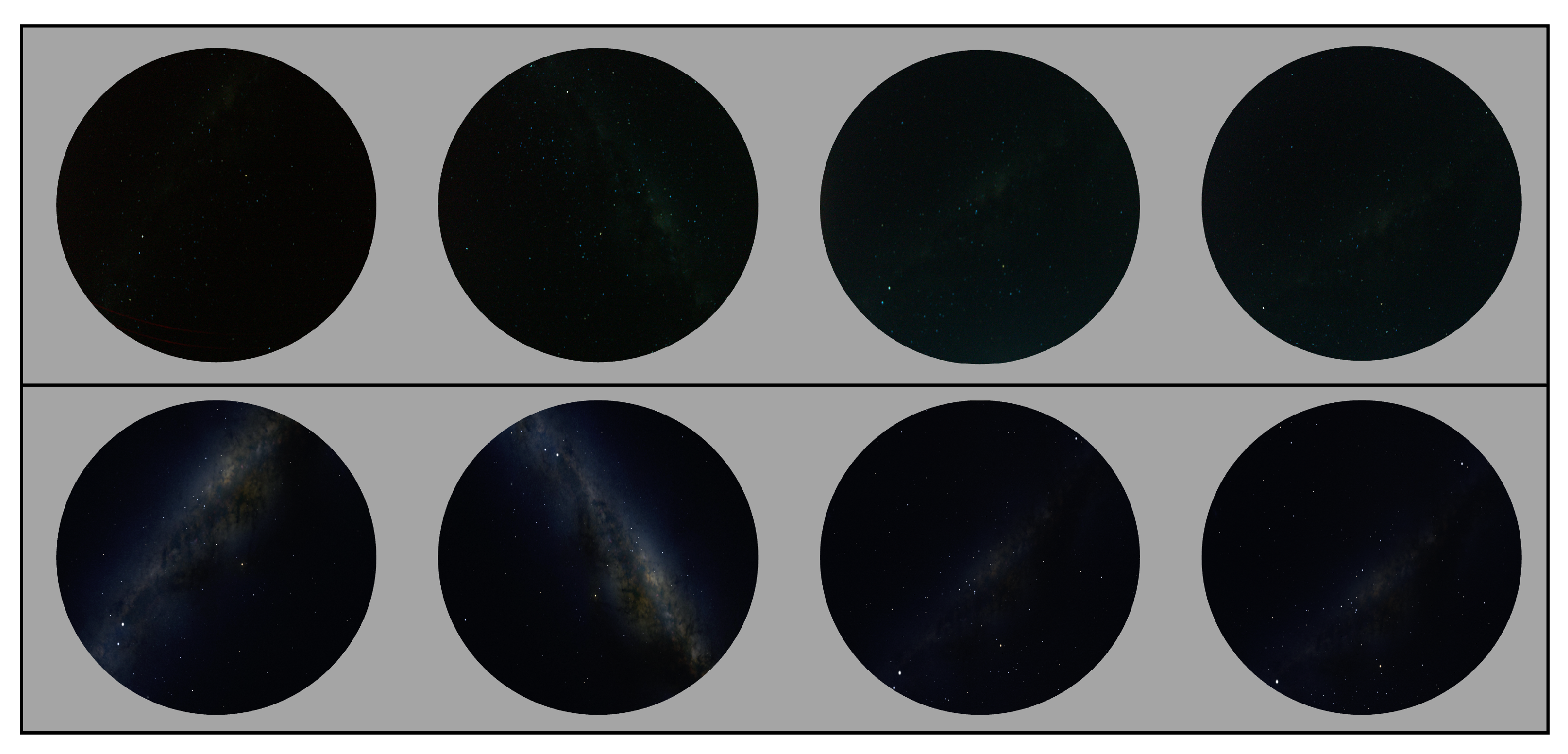 Biomimetics 09 00620 g007