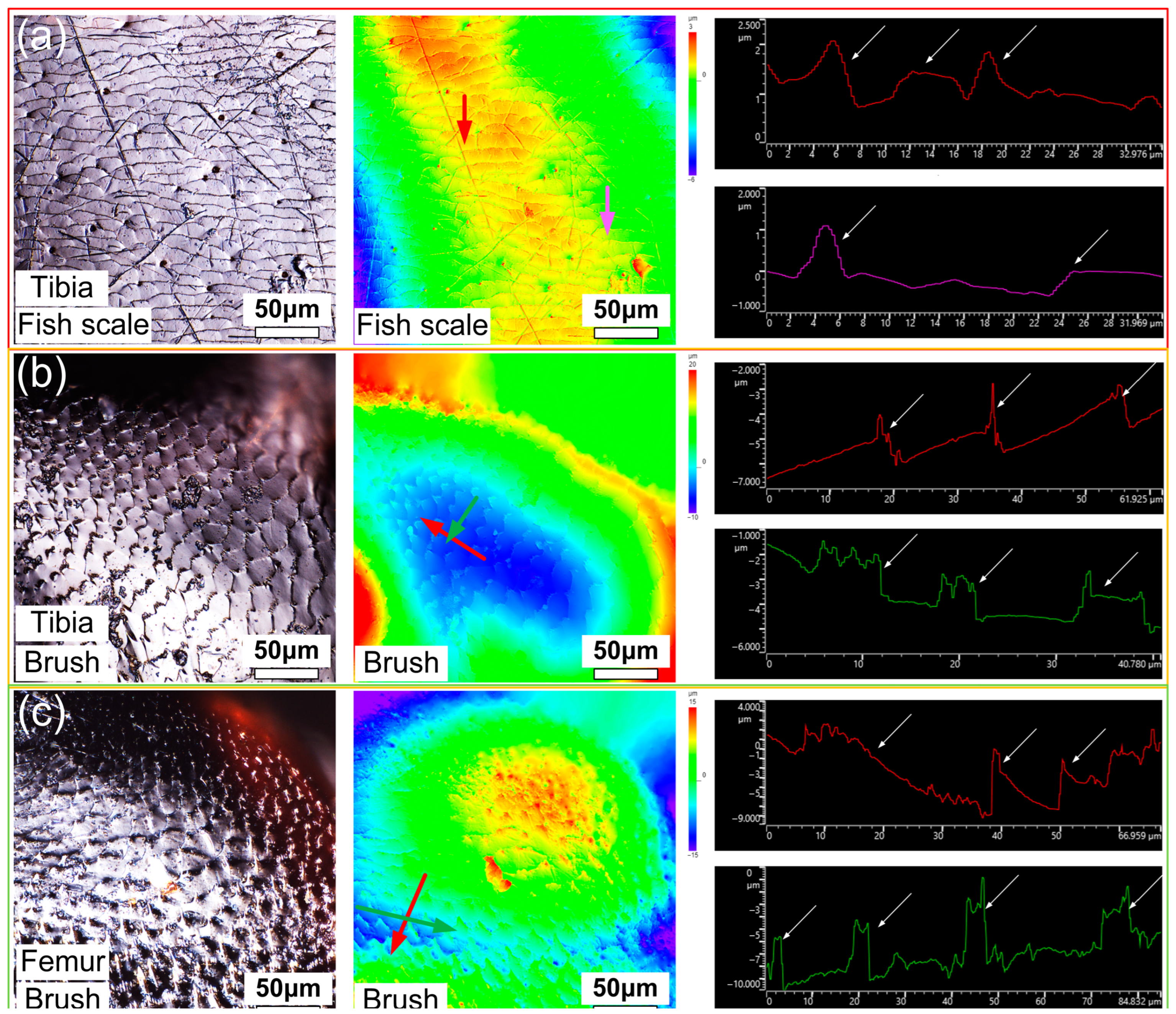 Biomimetics 09 00622 g003
