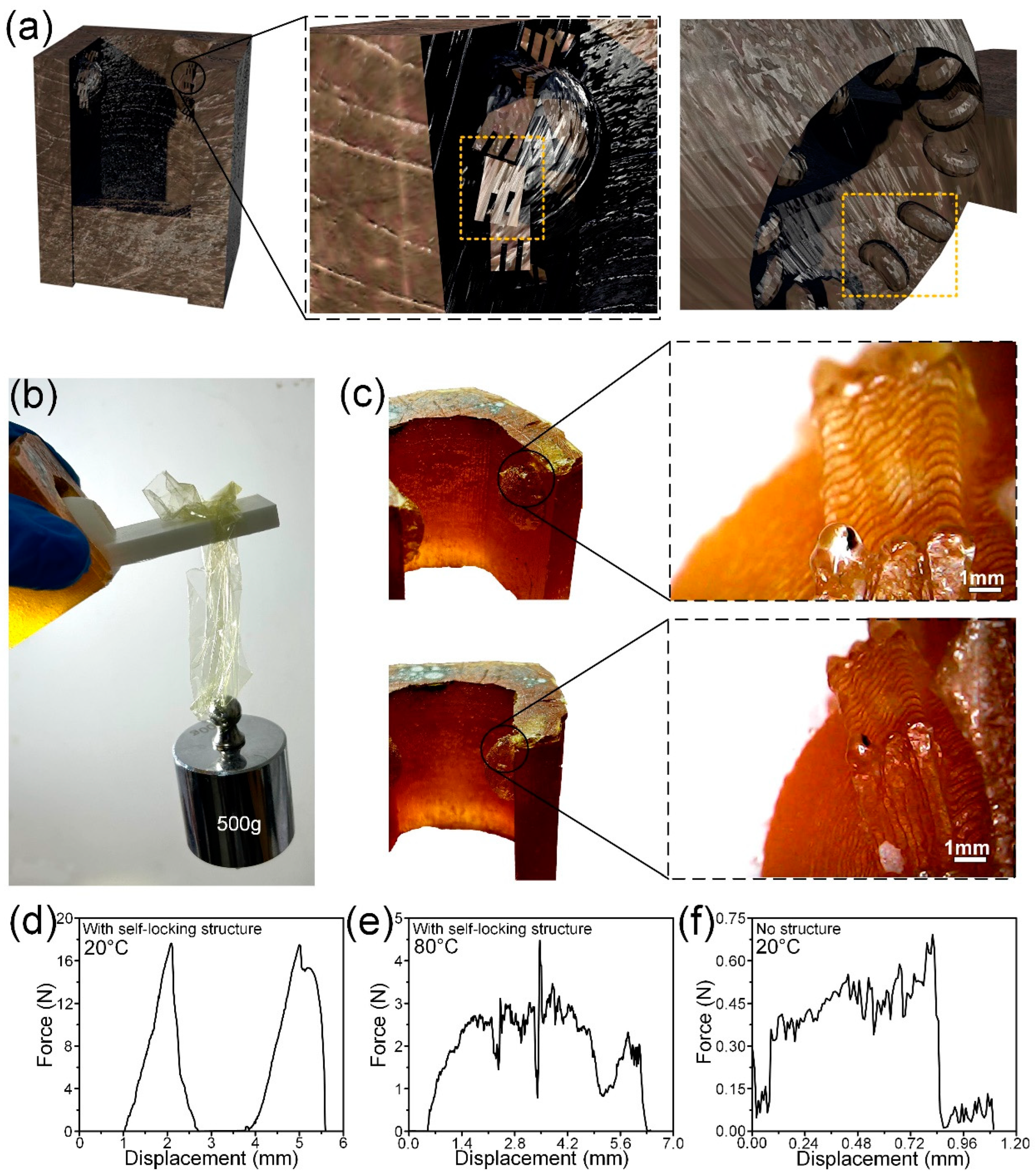 Biomimetics 09 00622 g006