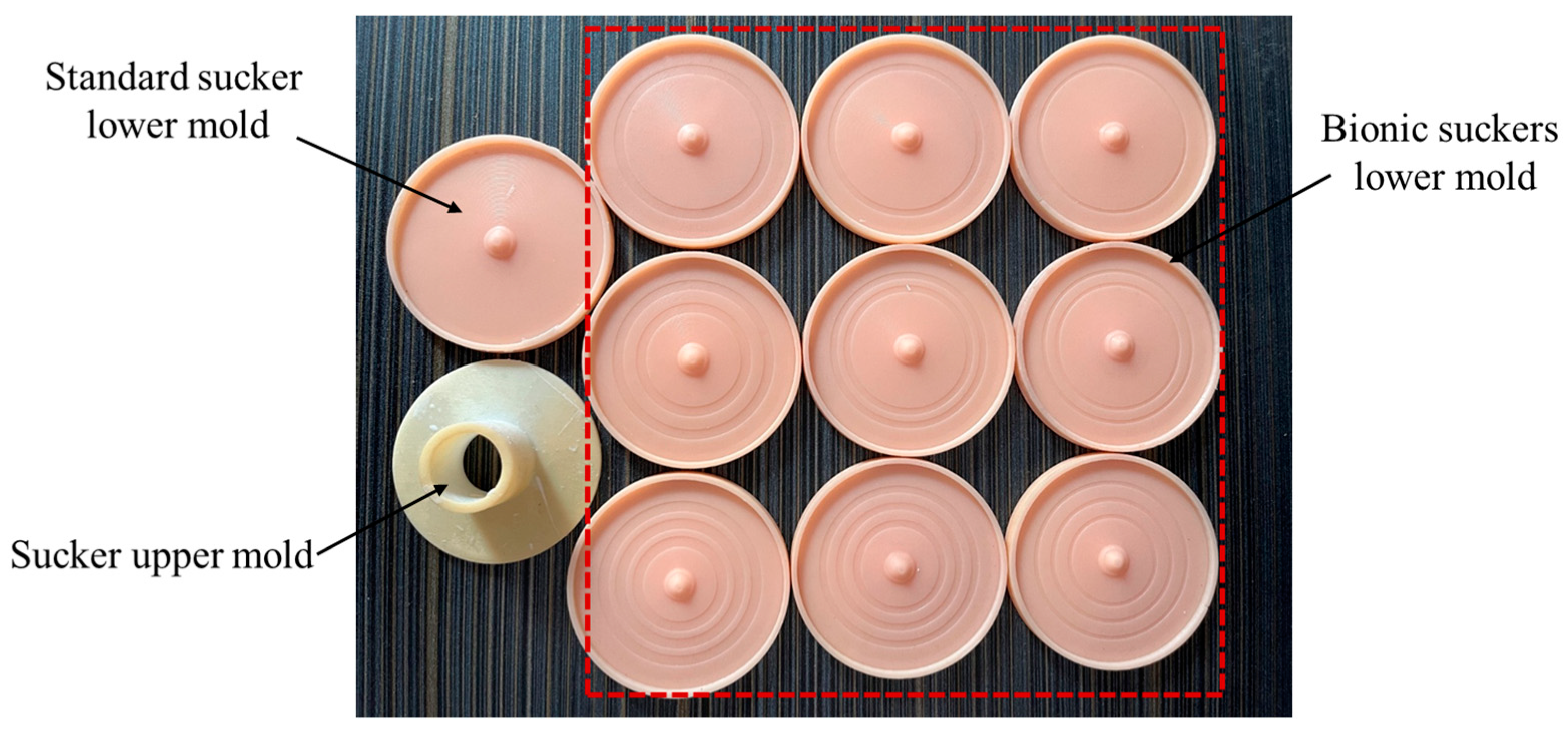 Biomimetics 09 00623 g005