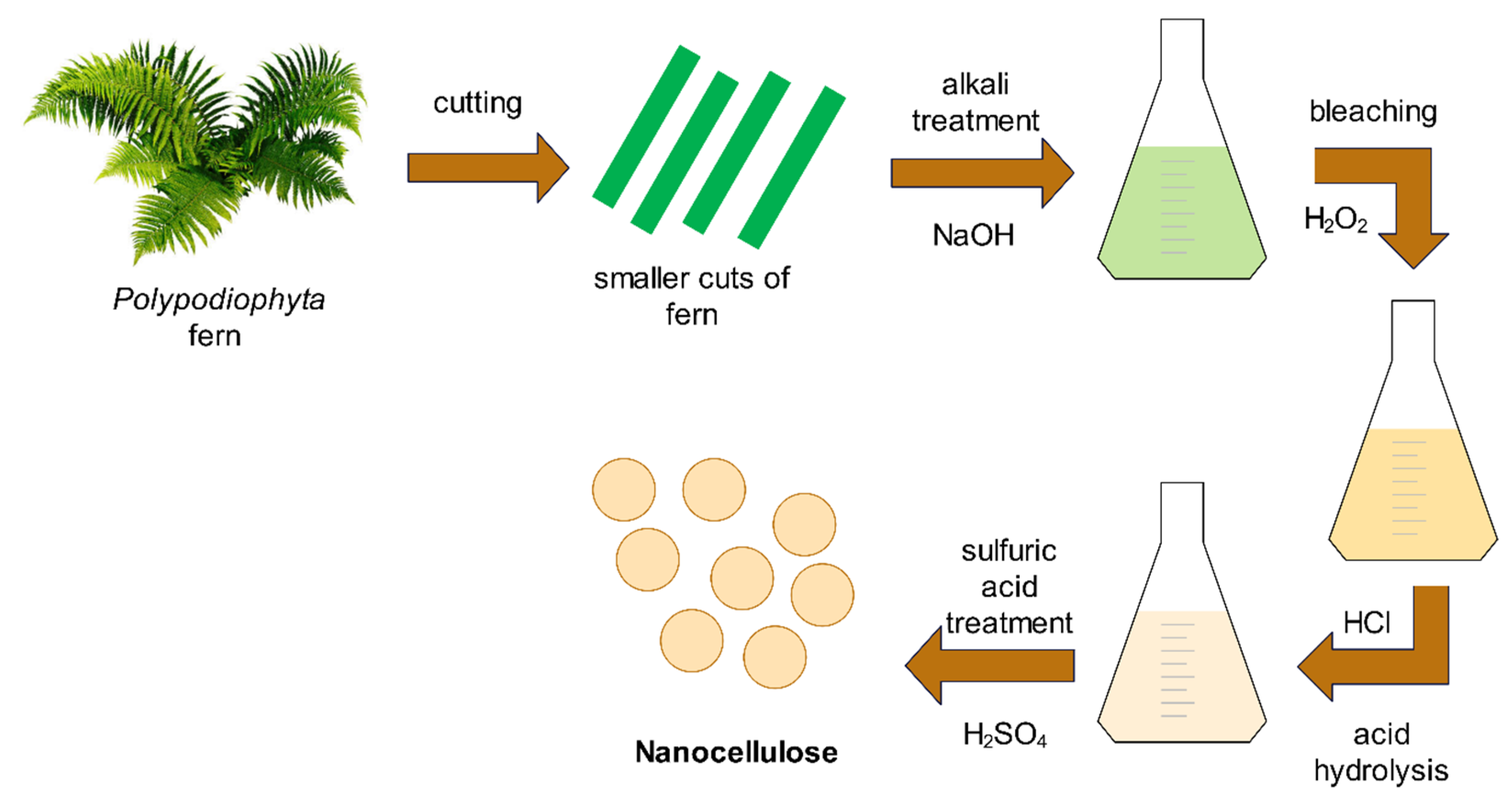 Biomimetics 09 00624 g001 Biomimetics 09 00624 g001