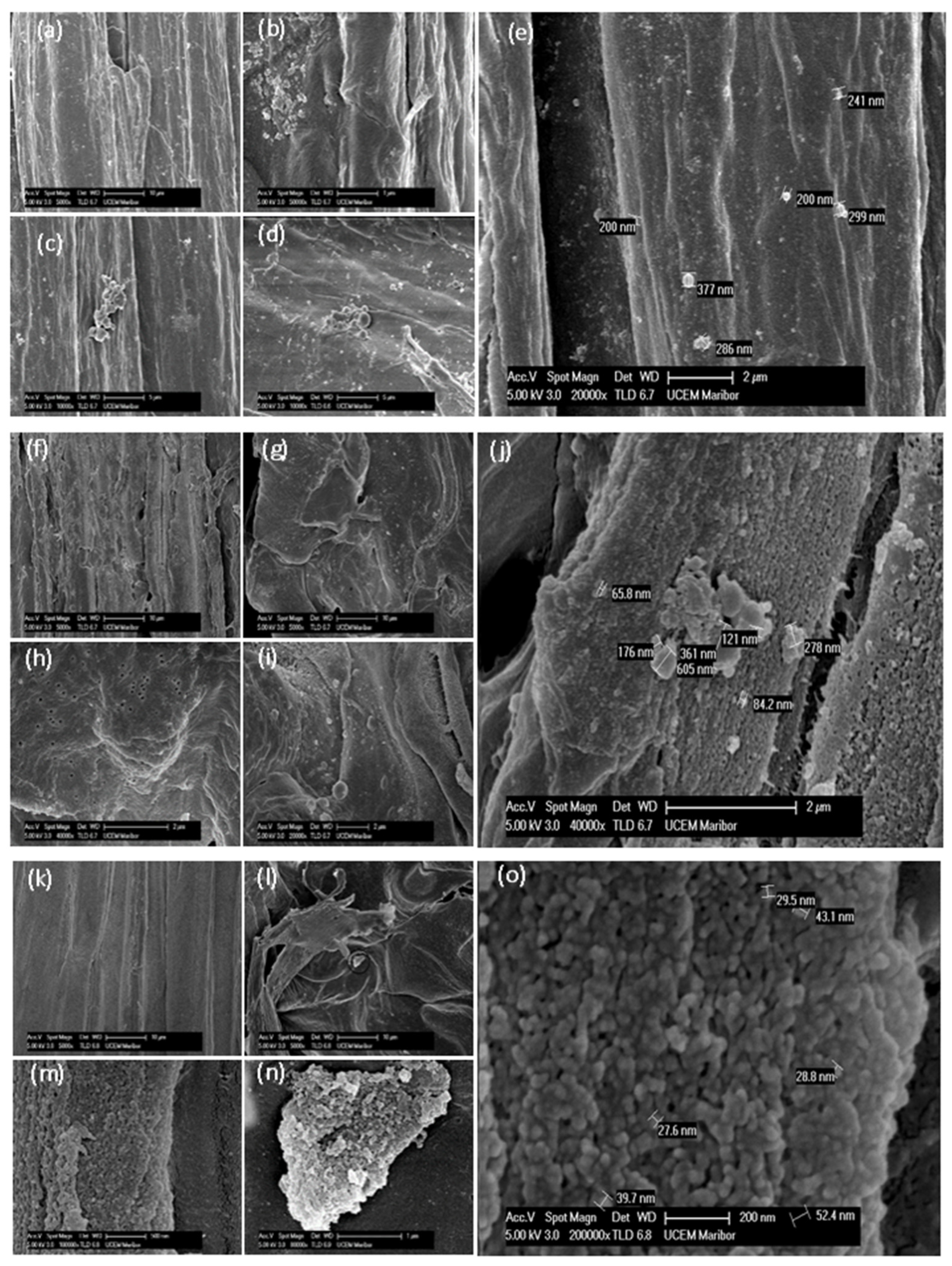 Biomimetics 09 00624 g002 Biomimetics 09 00624 g002