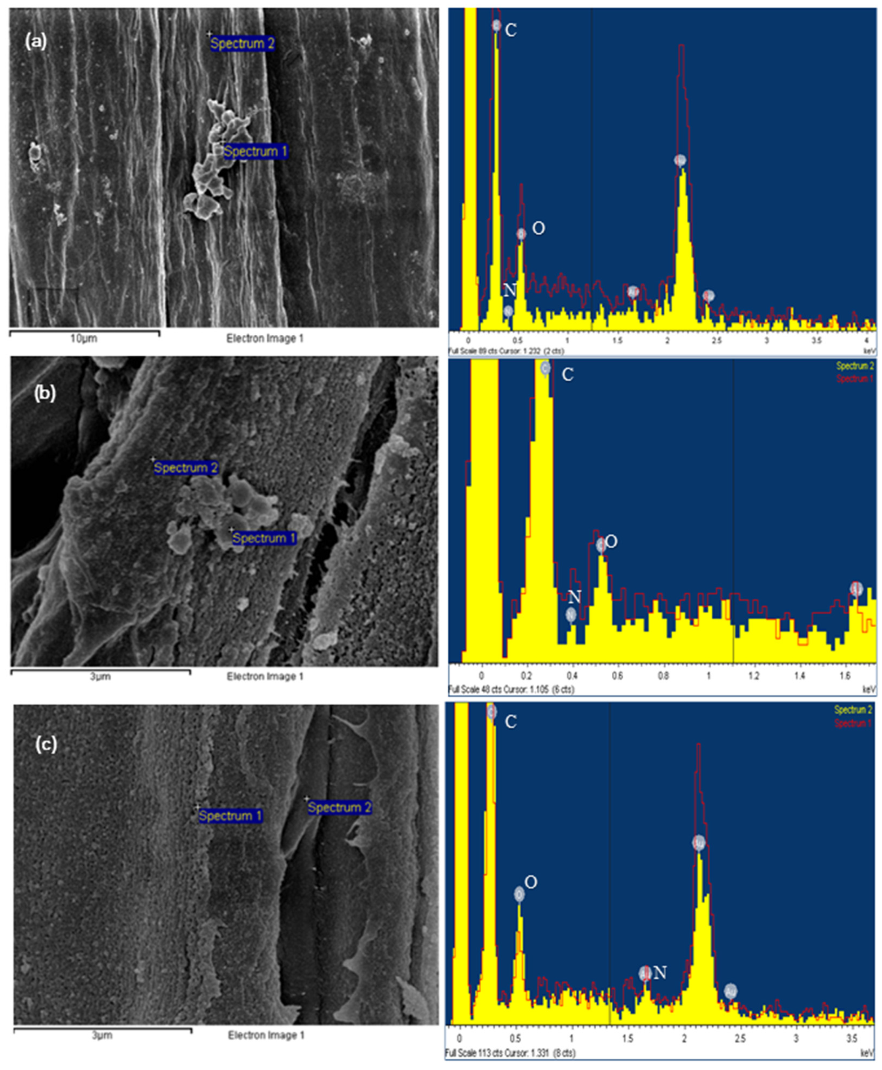 Biomimetics 09 00624 g003 Biomimetics 09 00624 g003