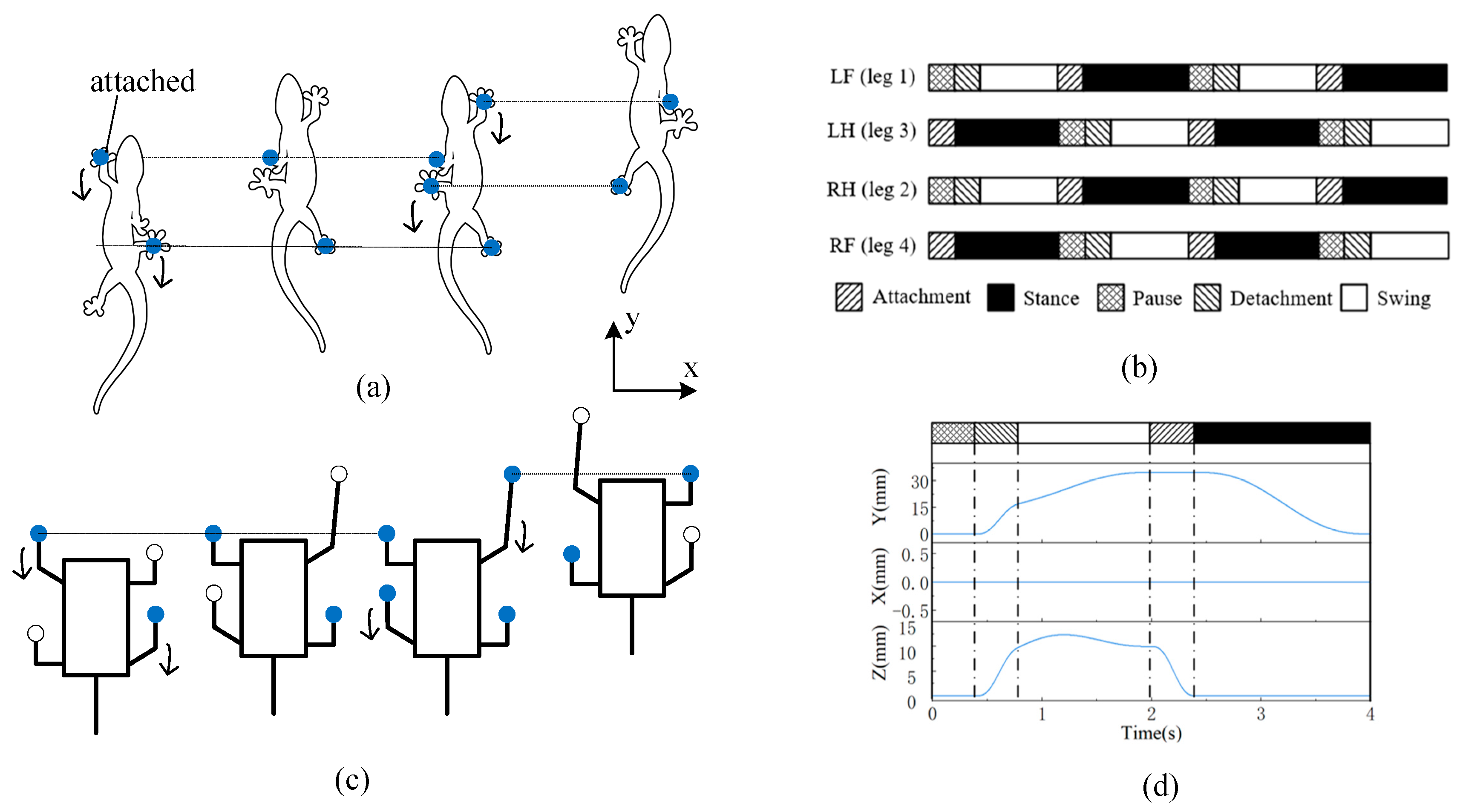 Biomimetics 09 00625 g004