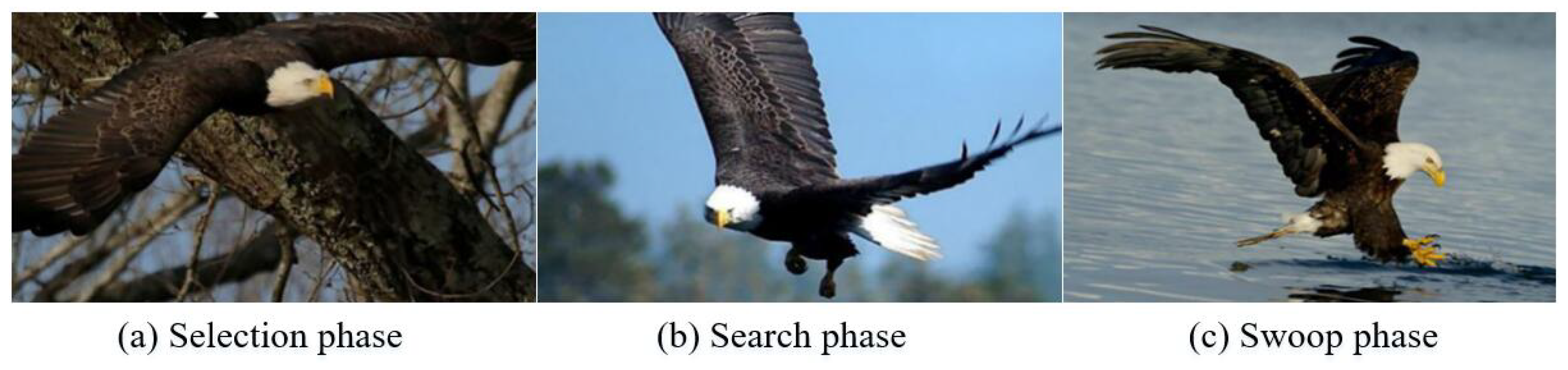 Biomimetics 09 00627 g004