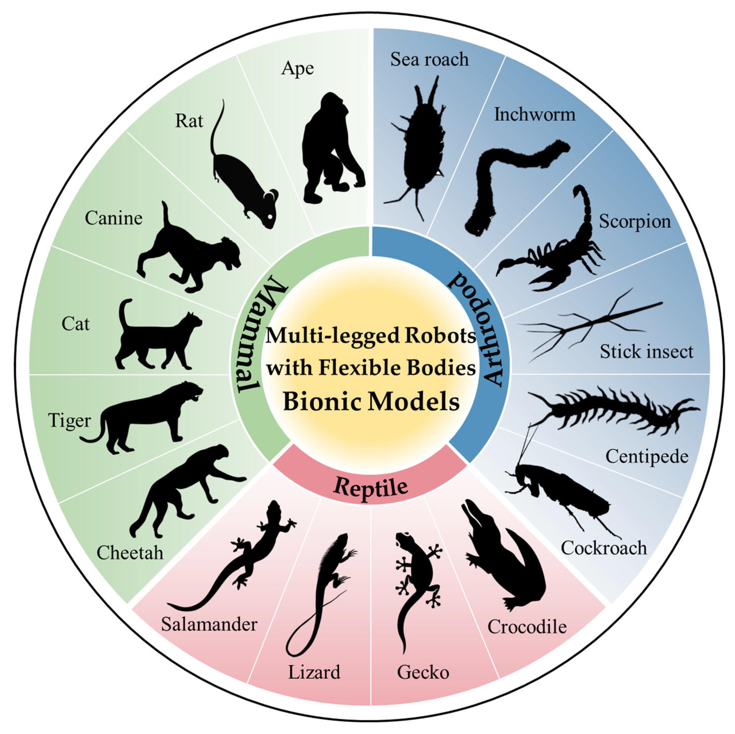 Biomimetics 09 00628 g001