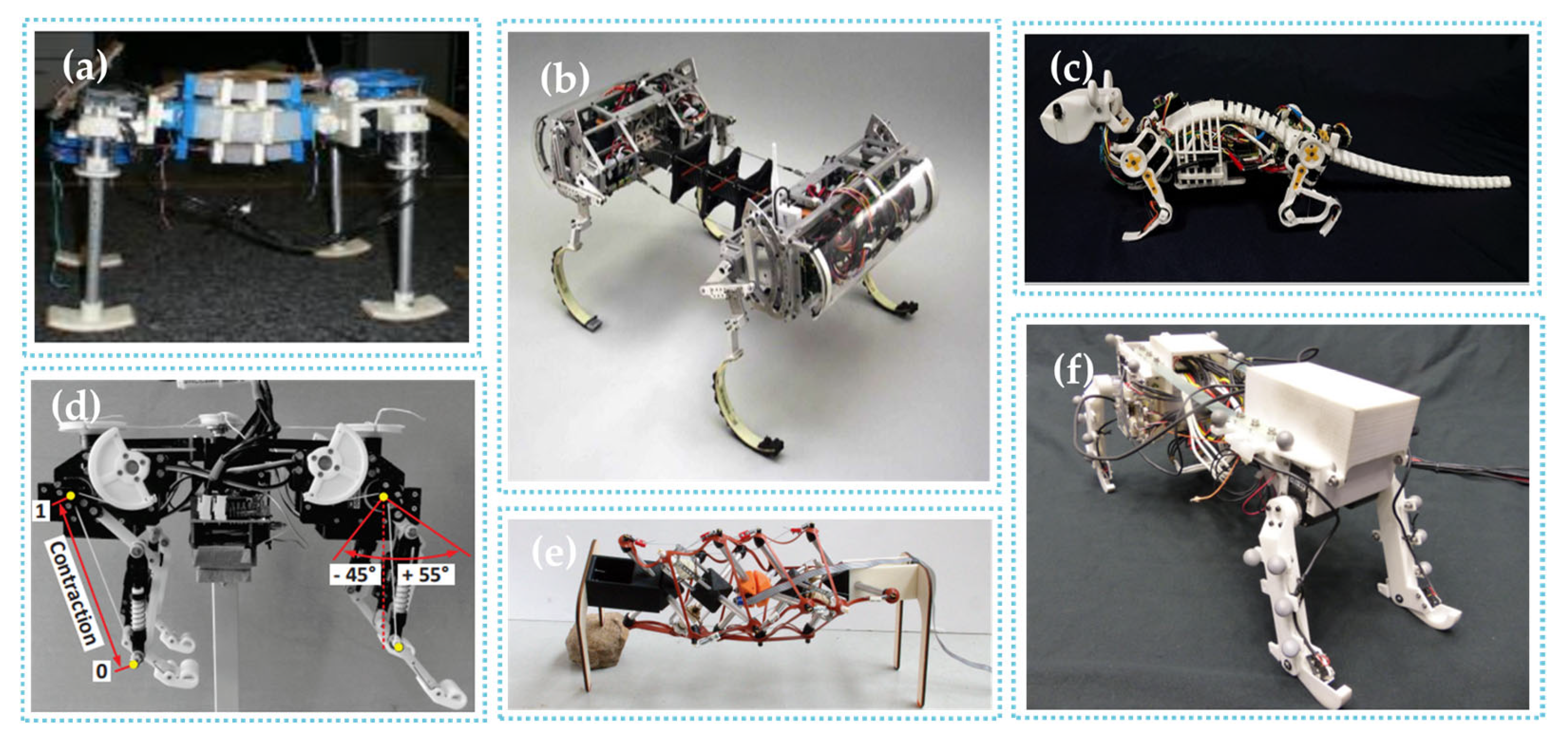 Biomimetics 09 00628 g004