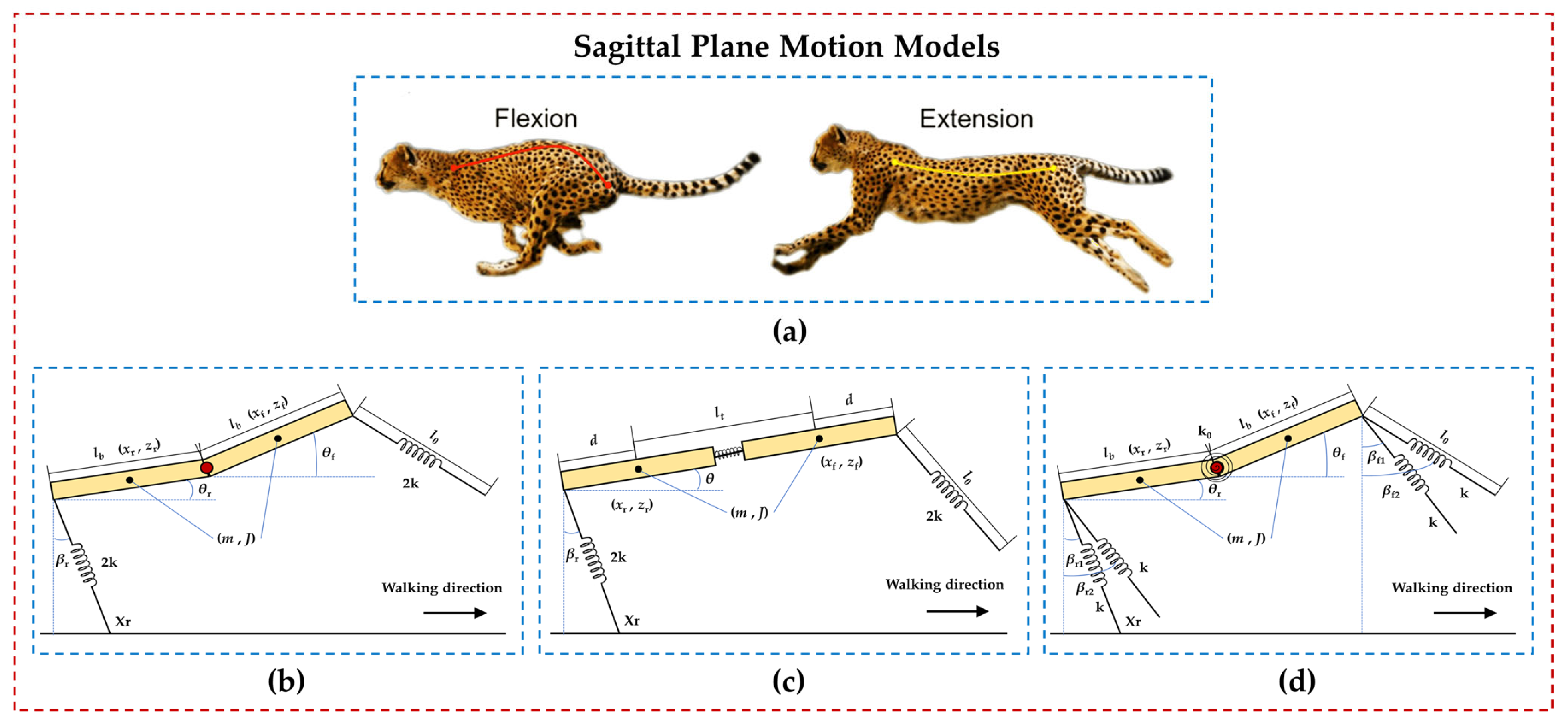 Biomimetics 09 00628 g007