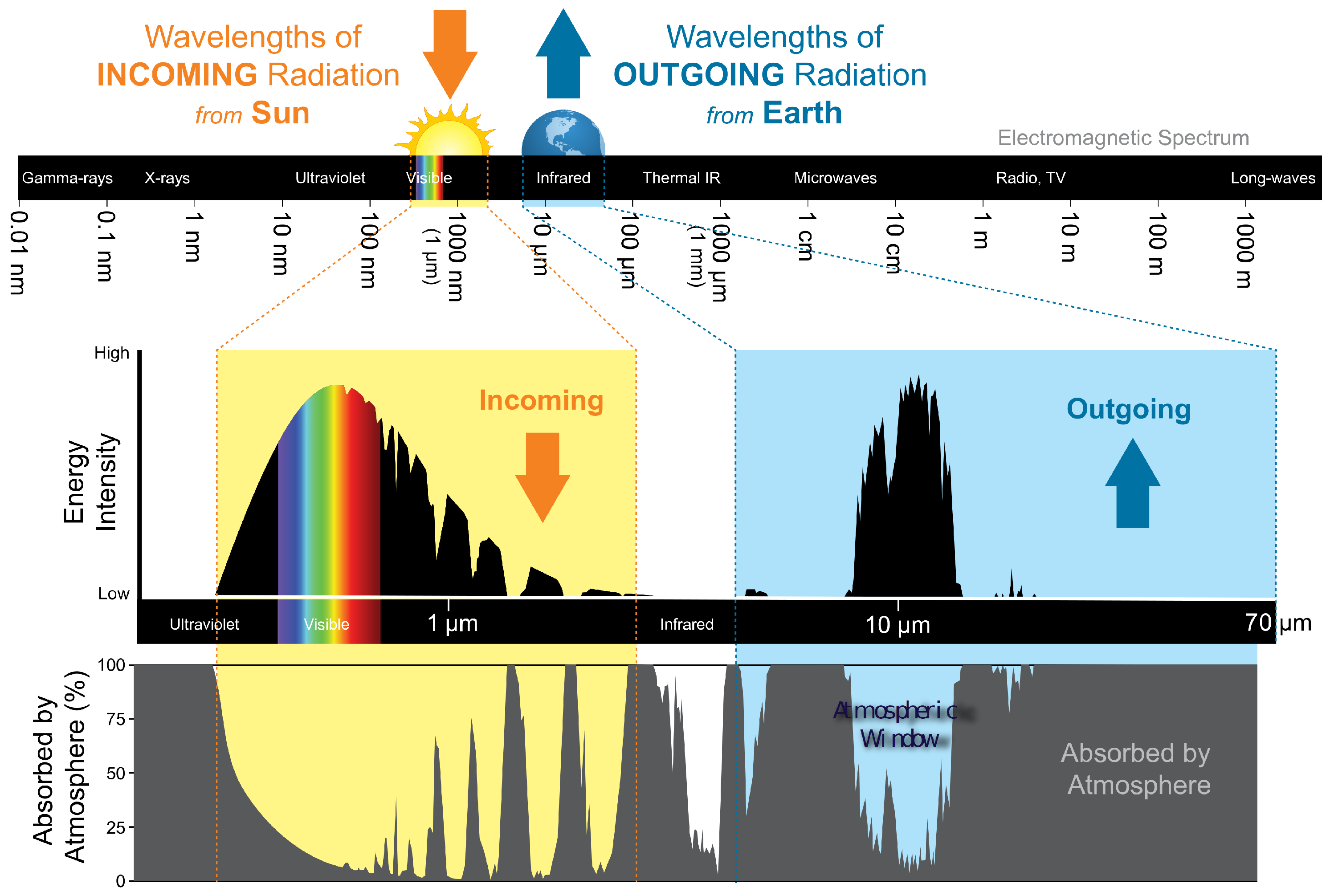Biomimetics 09 00630 g001