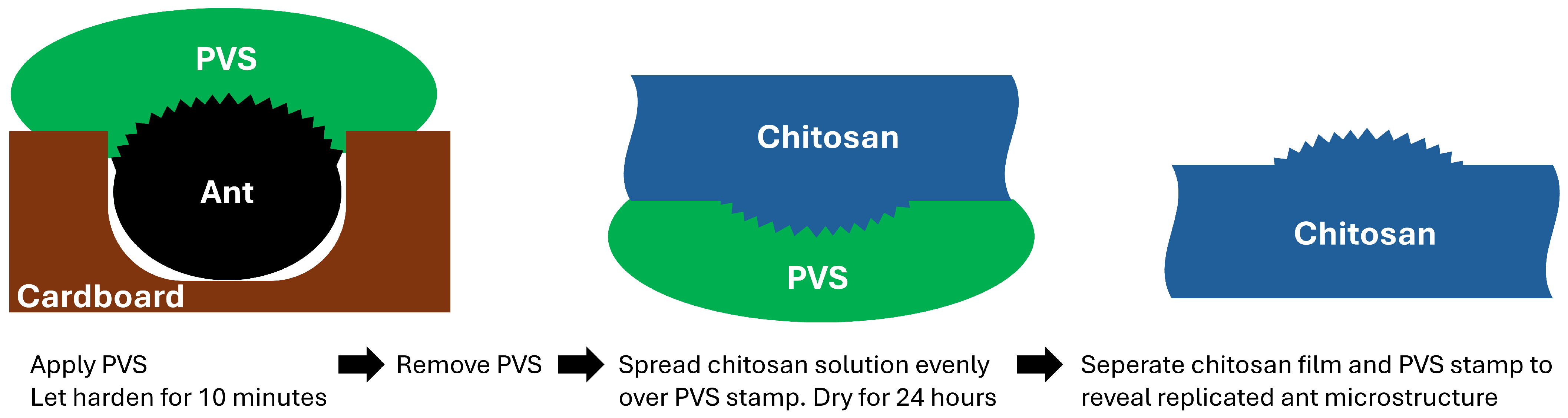 Biomimetics 09 00630 g004