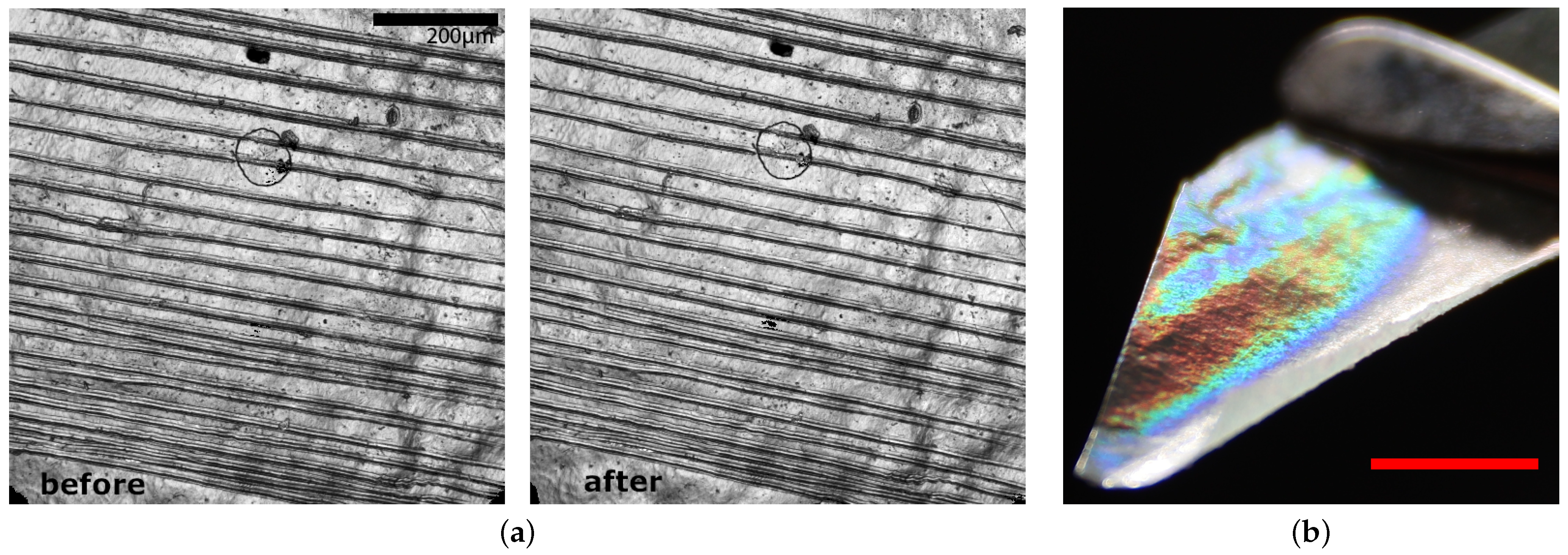 Biomimetics 09 00630 g005
