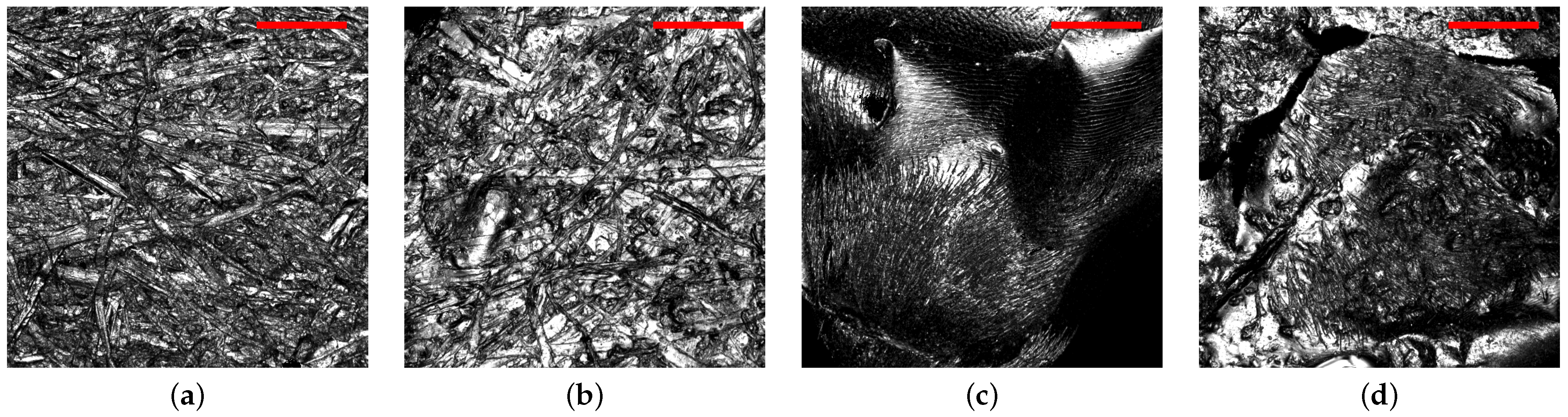 Biomimetics 09 00630 g006