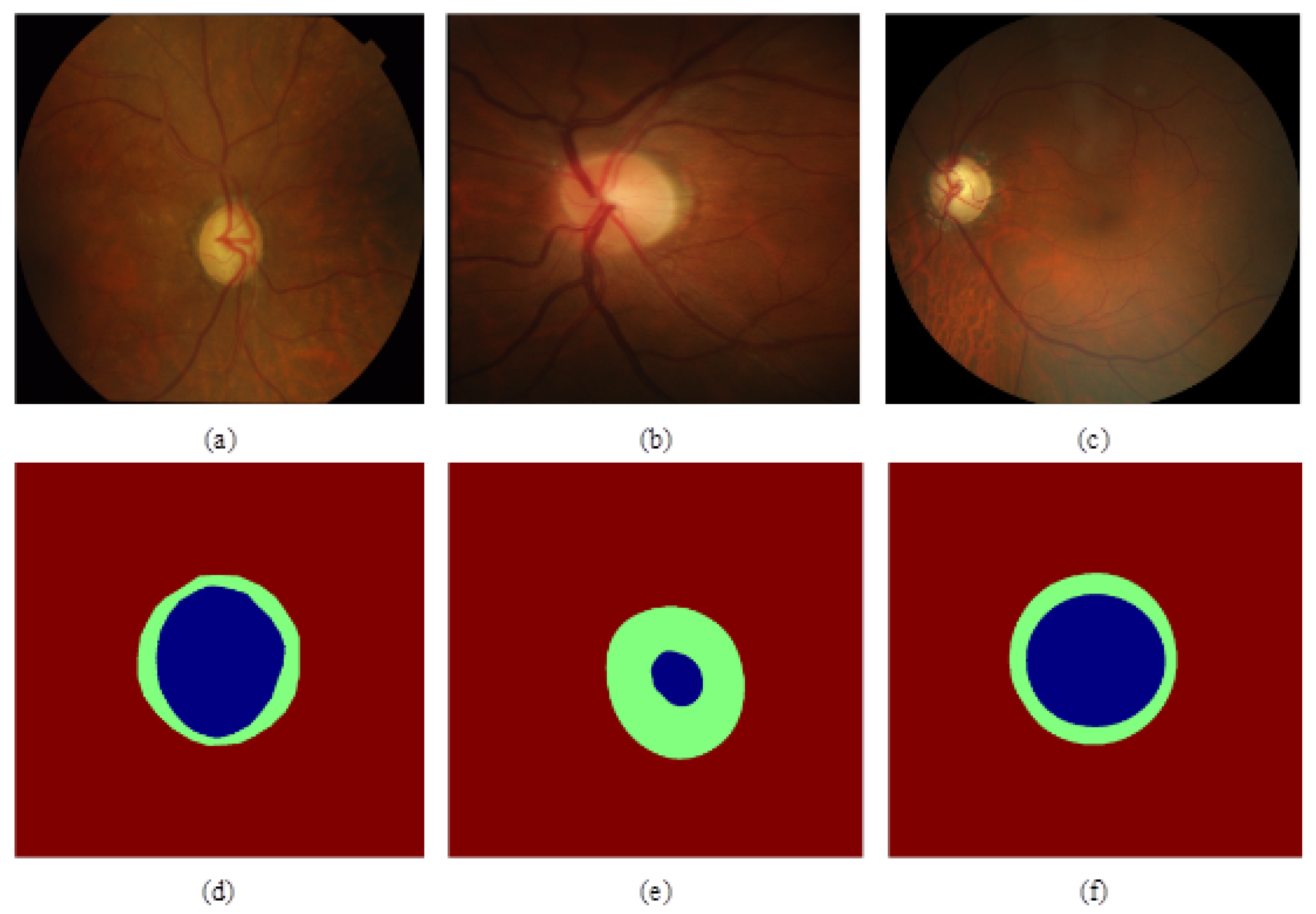 Biomimetics 09 00637 g003