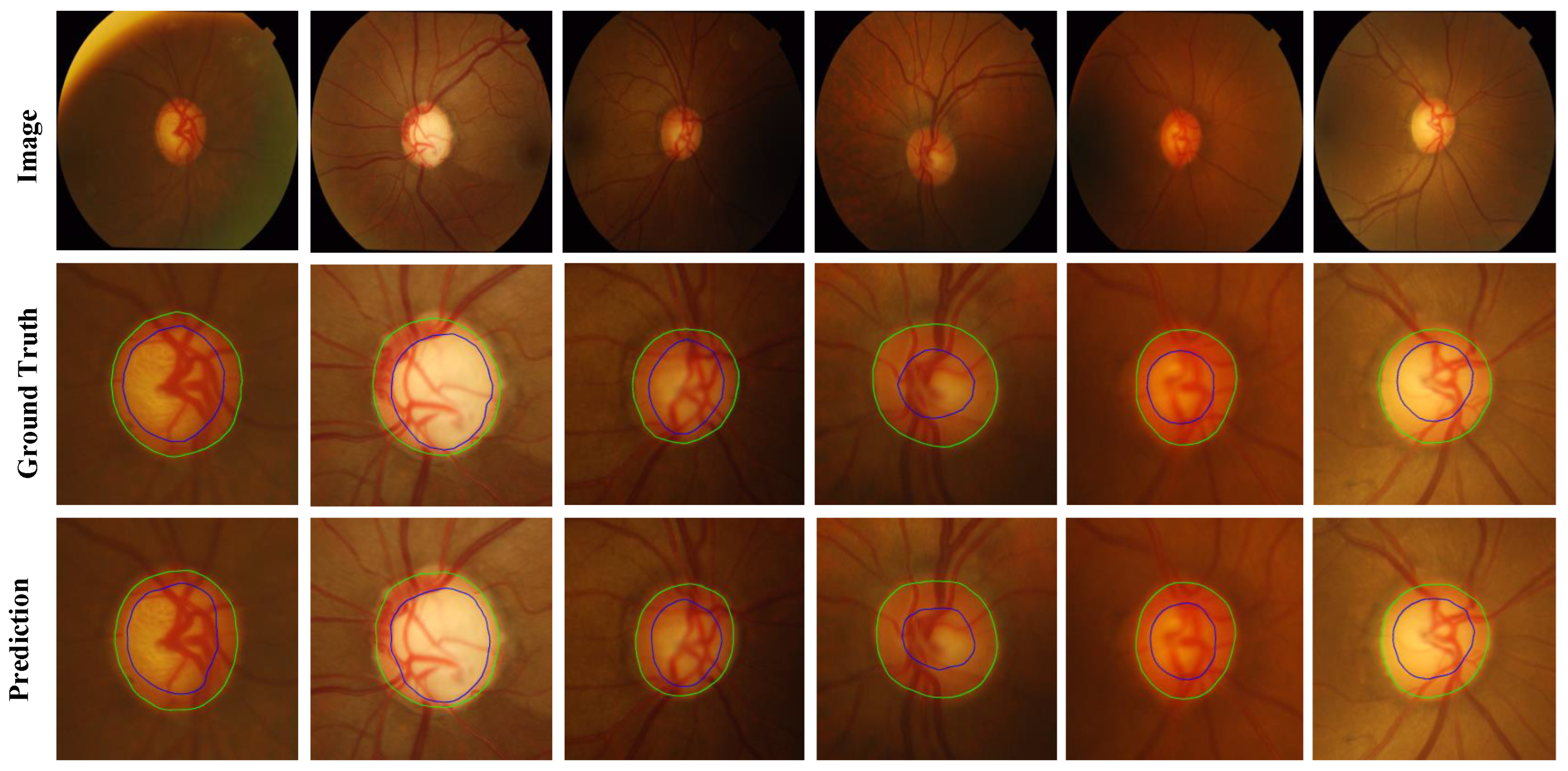 Biomimetics 09 00637 g004