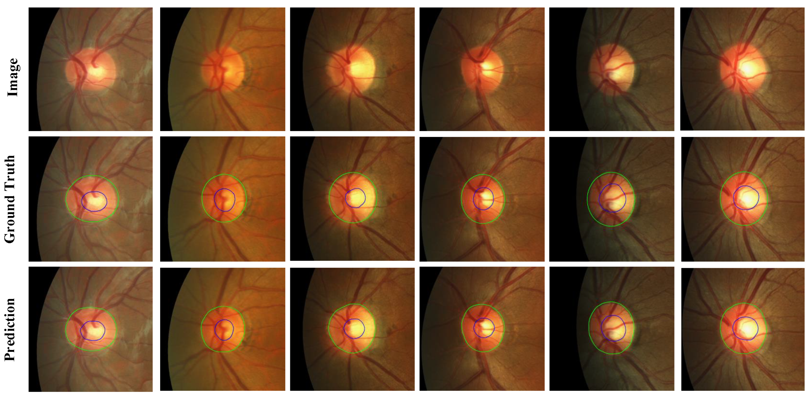 Biomimetics 09 00637 g006