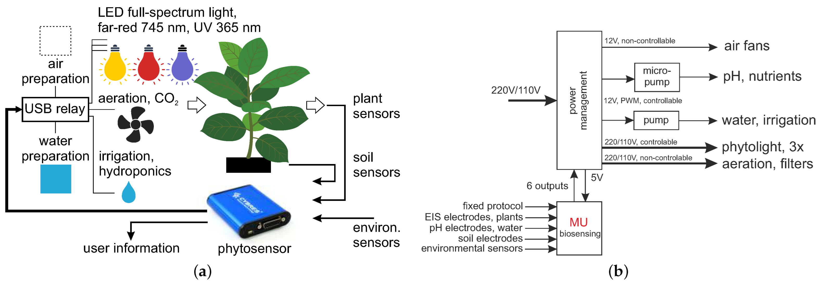 Biomimetics 09 00640 g001