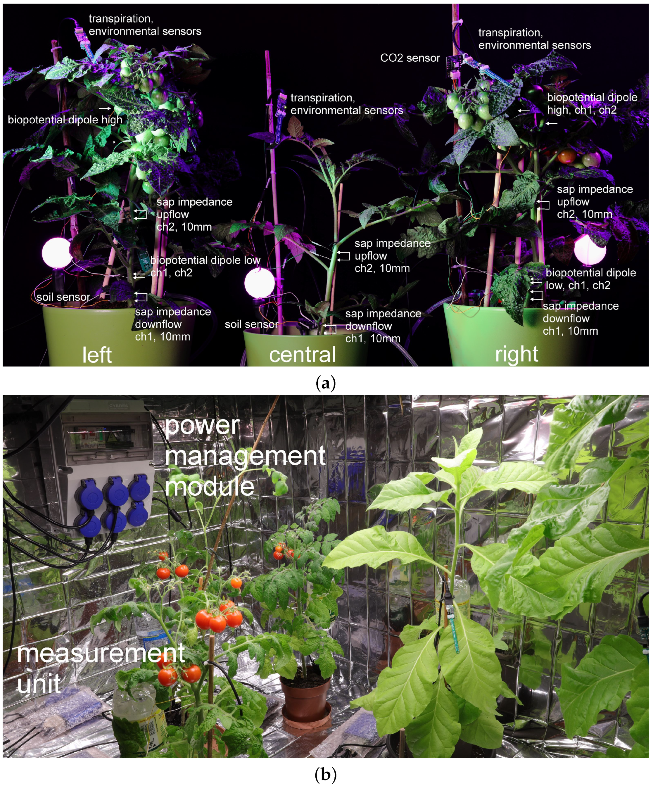 Biomimetics 09 00640 g002