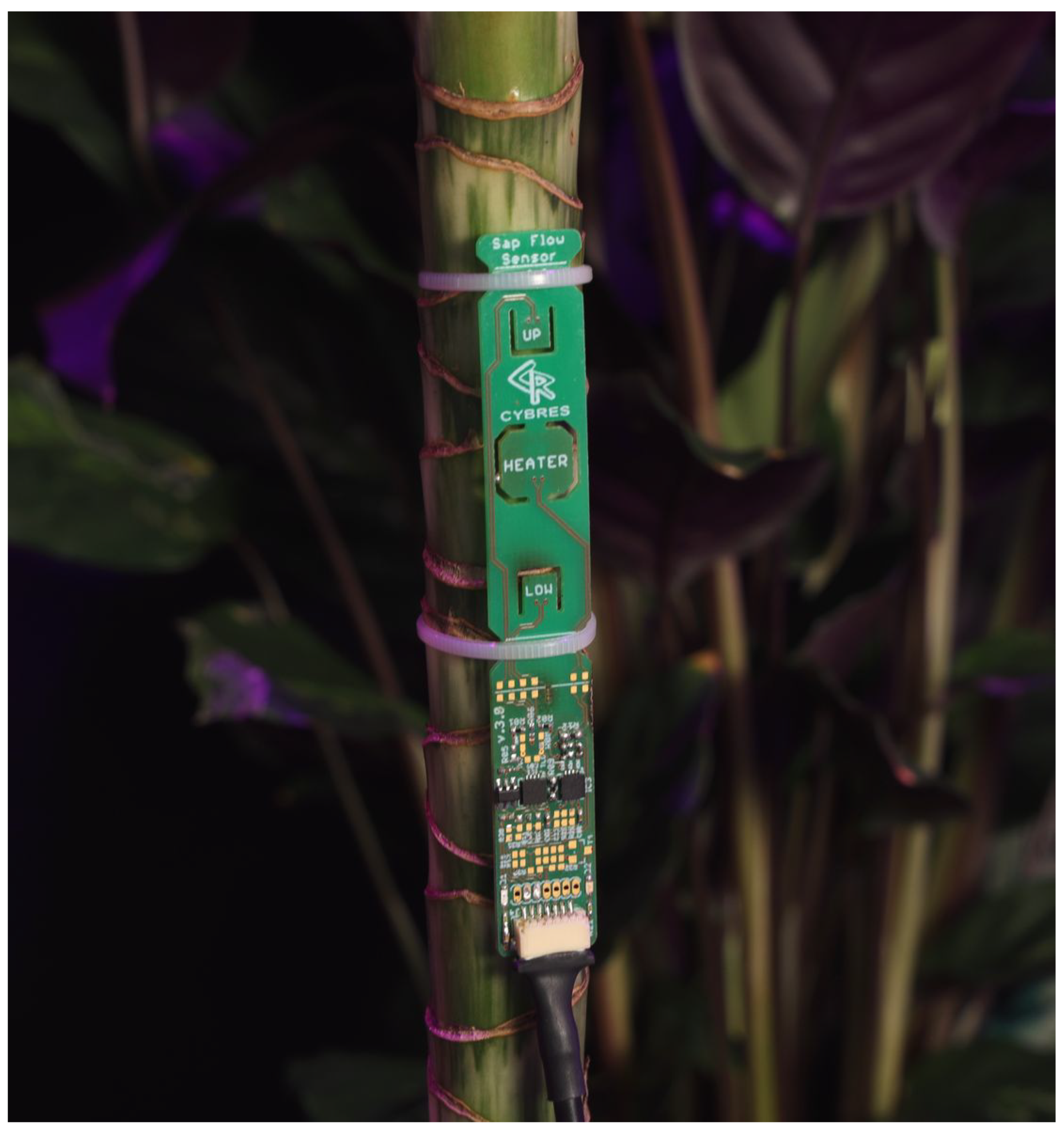 Biomimetics 09 00640 g003