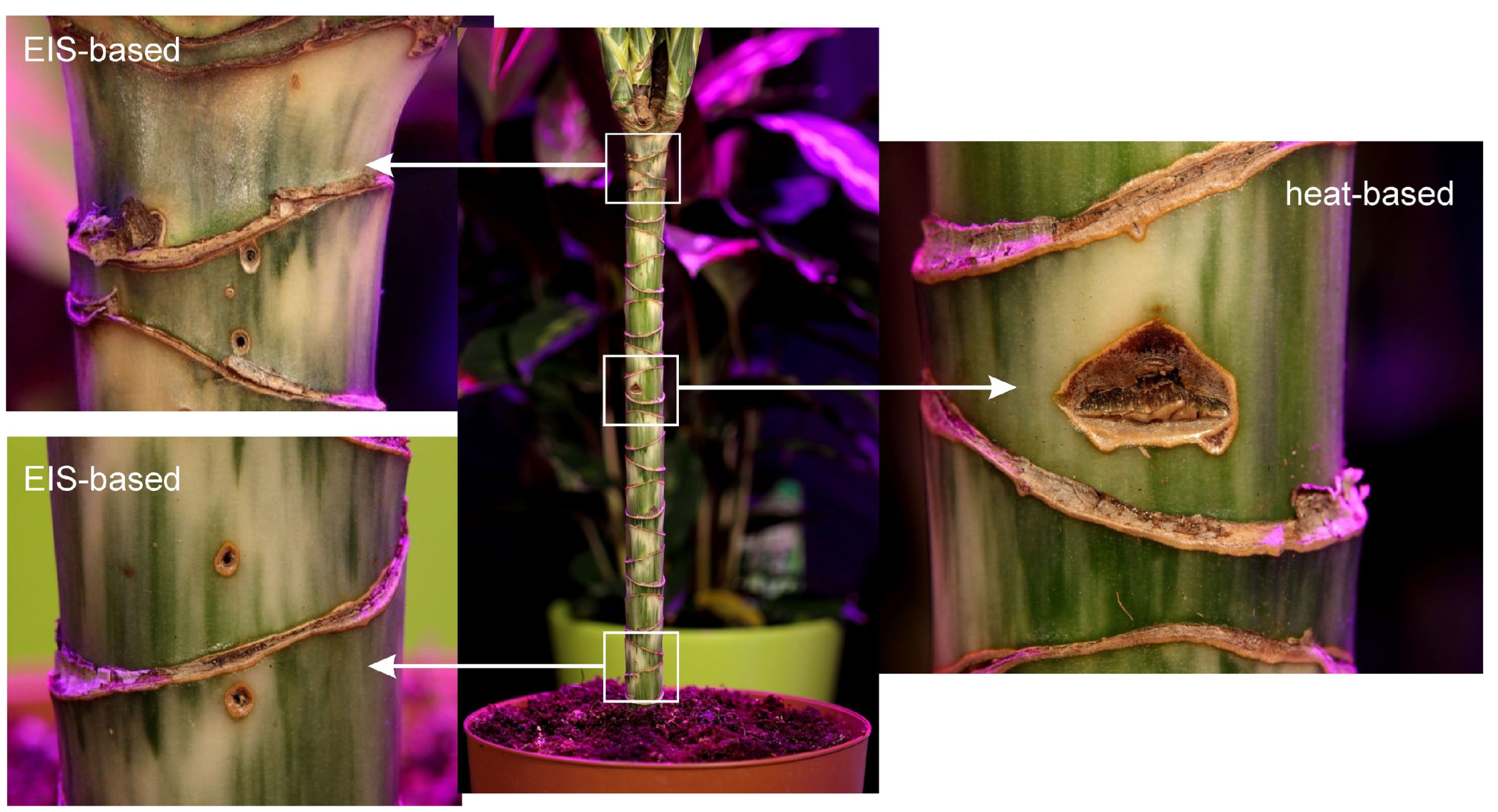 Biomimetics 09 00640 g005