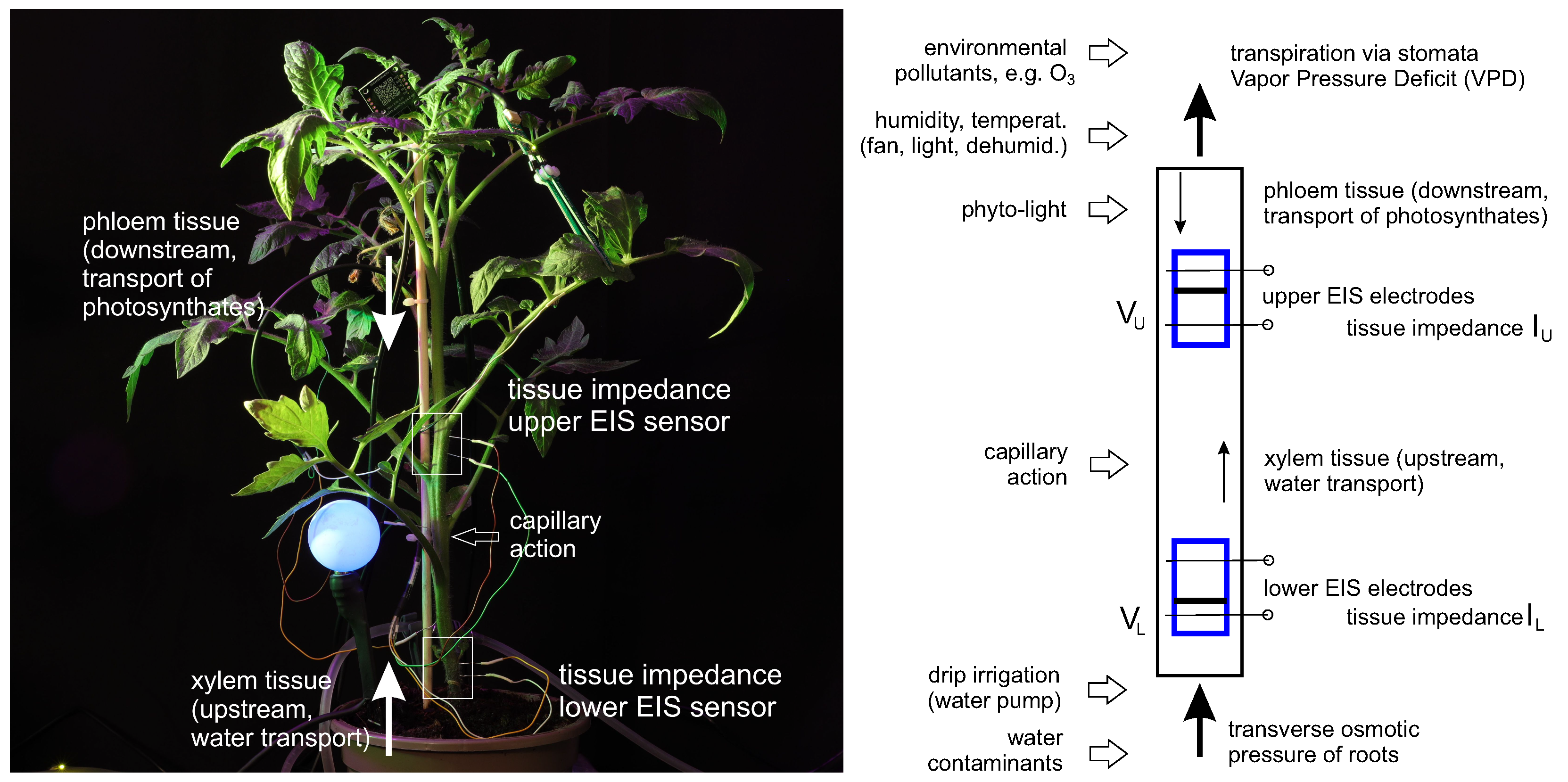 Biomimetics 09 00640 g011