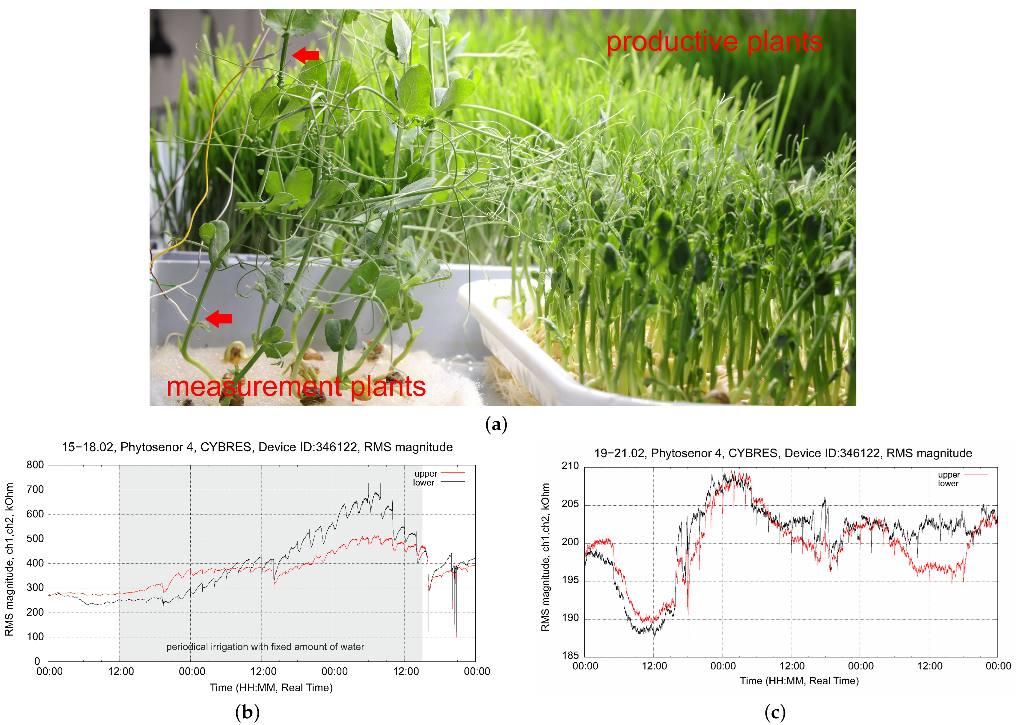 Biomimetics 09 00640 g016