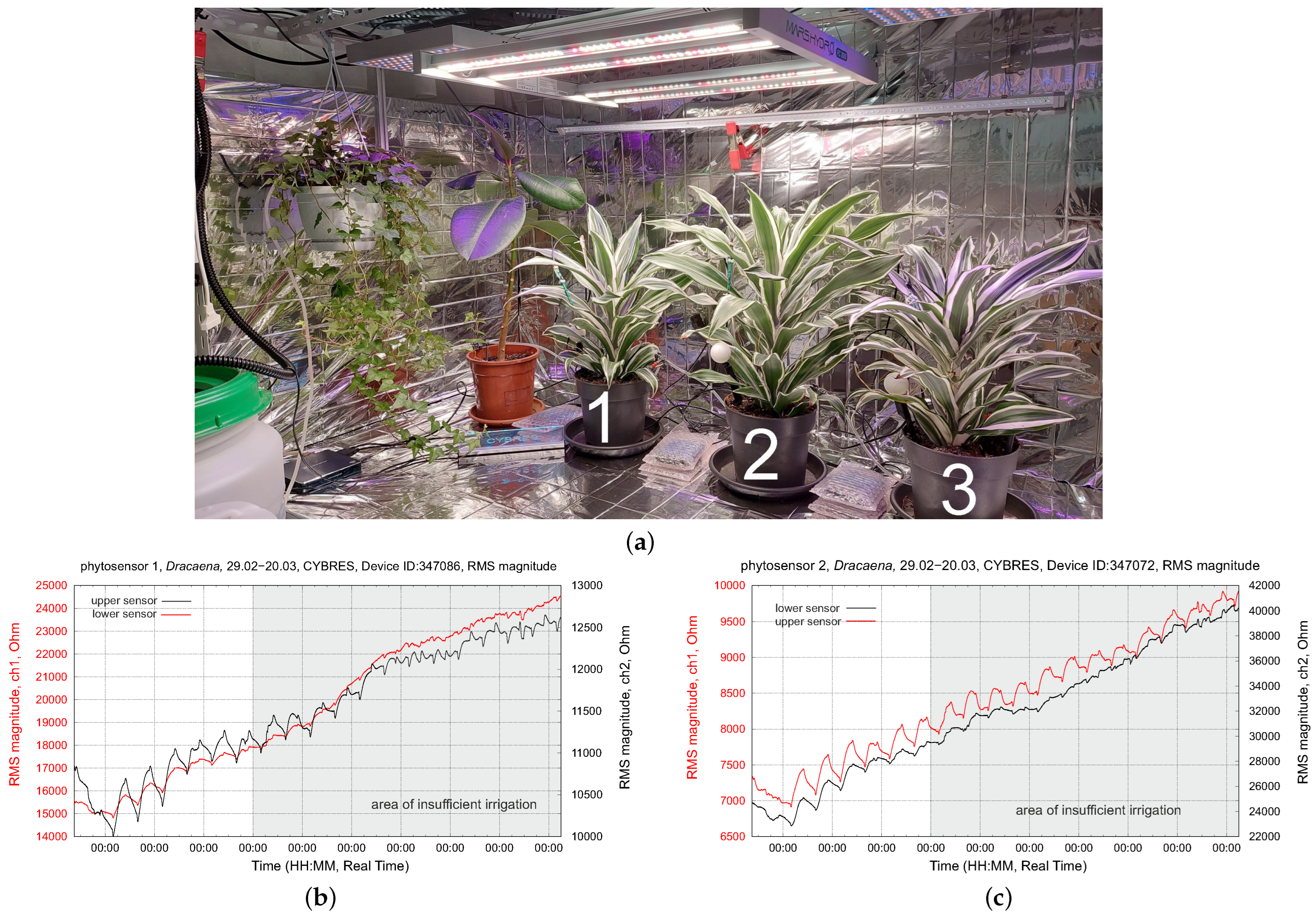 Biomimetics 09 00640 g017