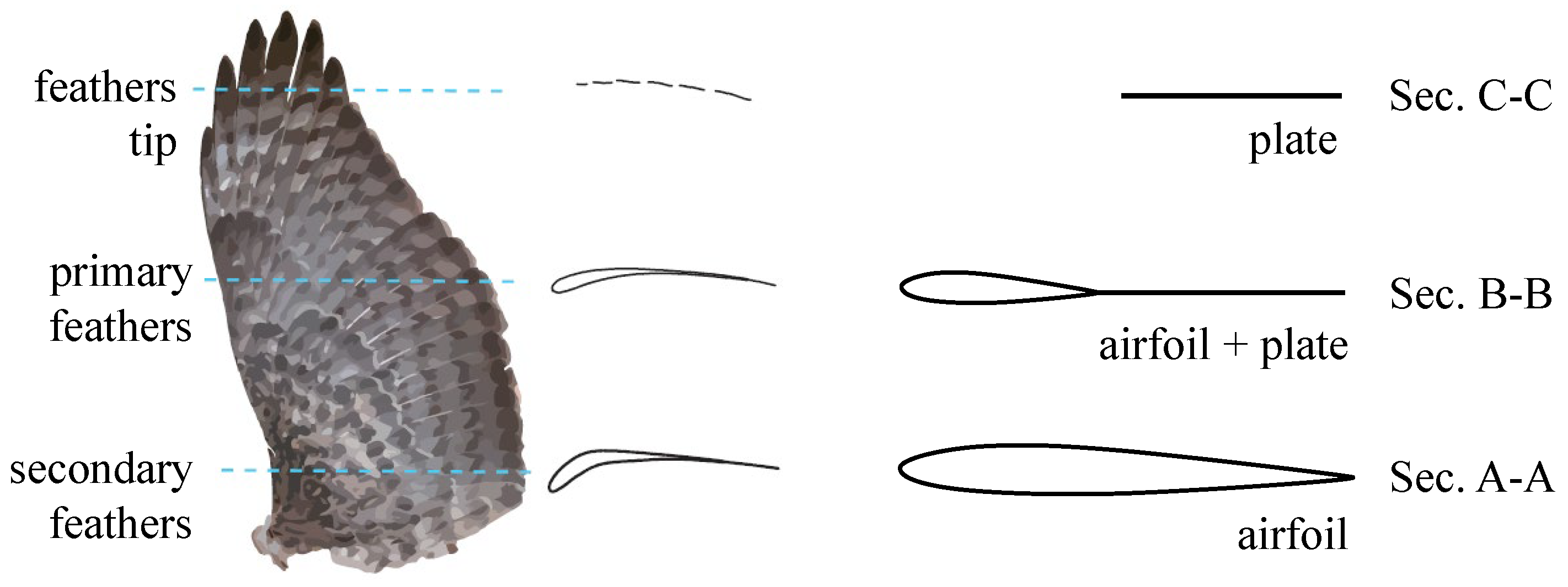 Biomimetics 09 00641 g002