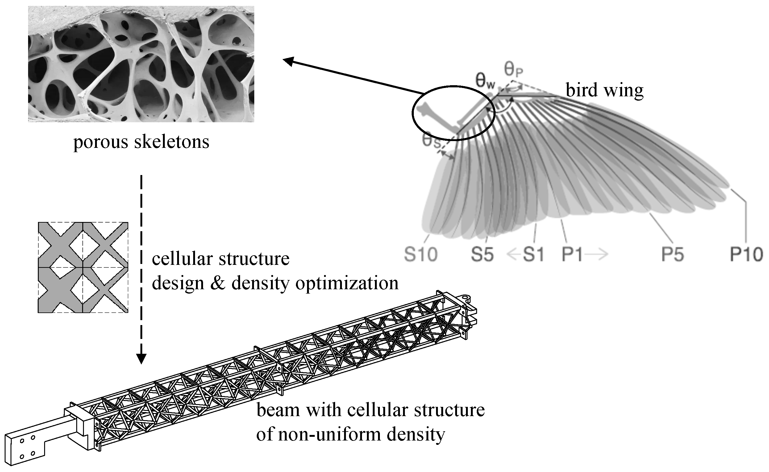 Biomimetics 09 00641 g003