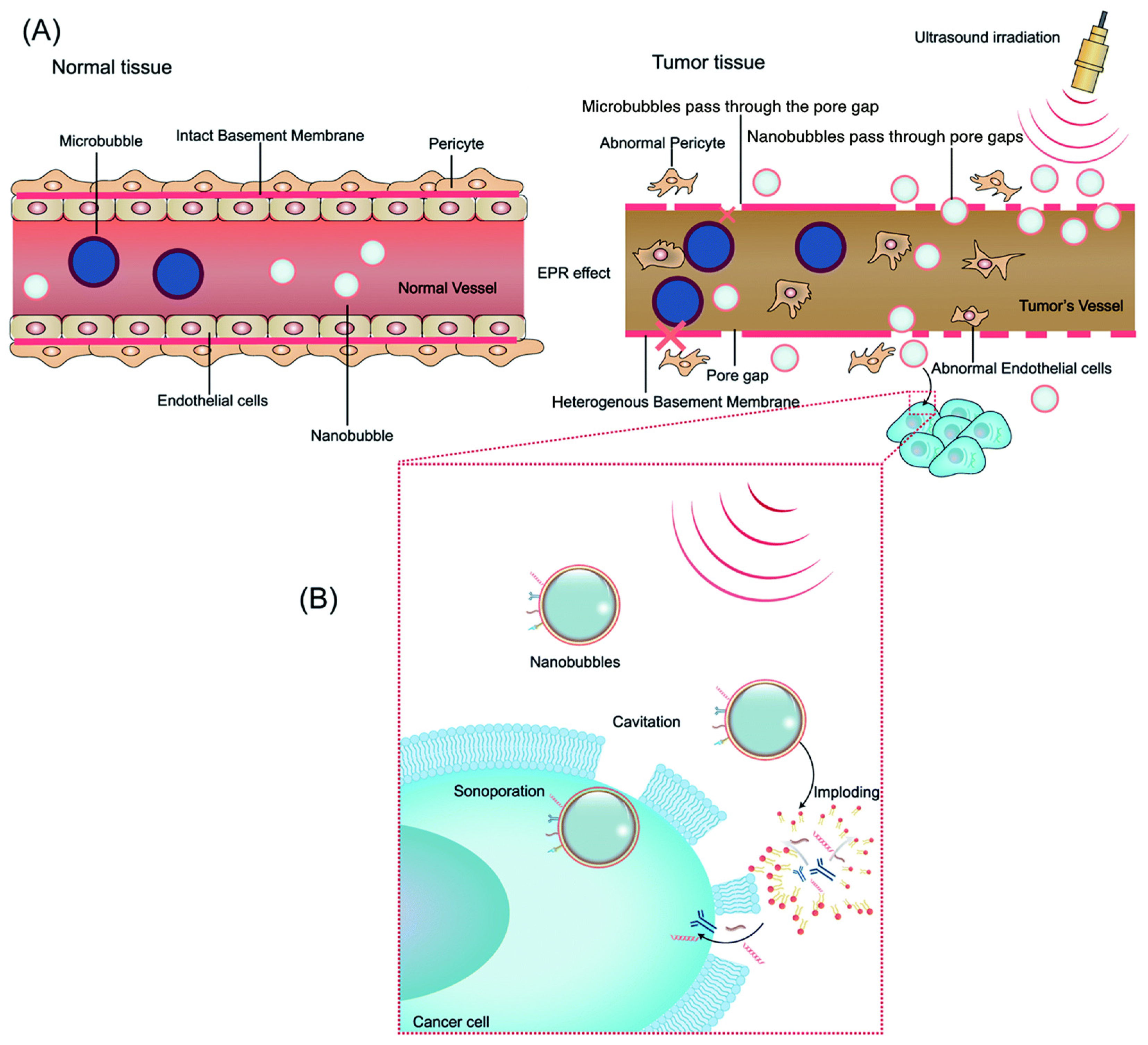 Biomimetics 09 00645 g001 Biomimetics 09 00645 g001