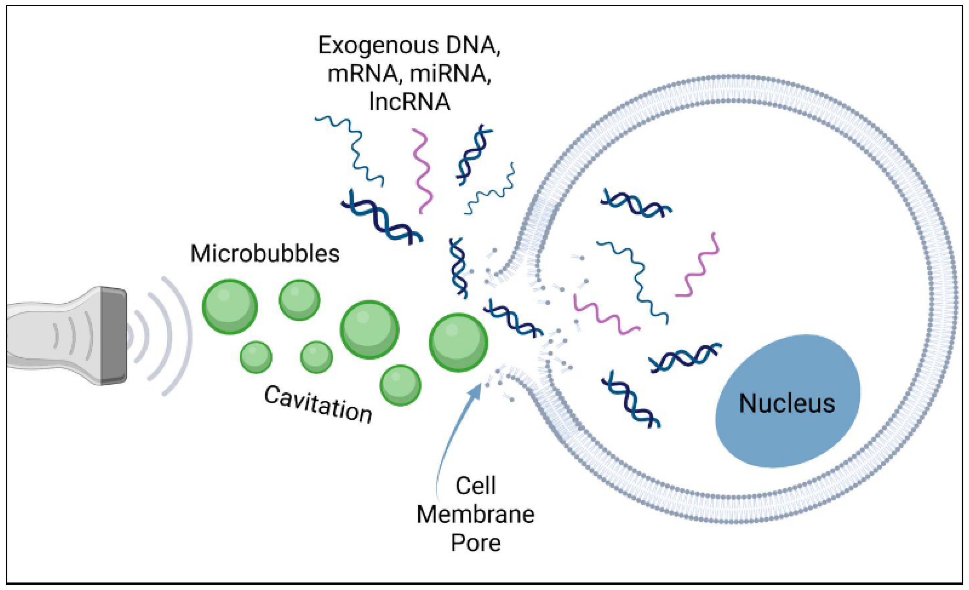 Biomimetics 09 00645 g002 Biomimetics 09 00645 g002