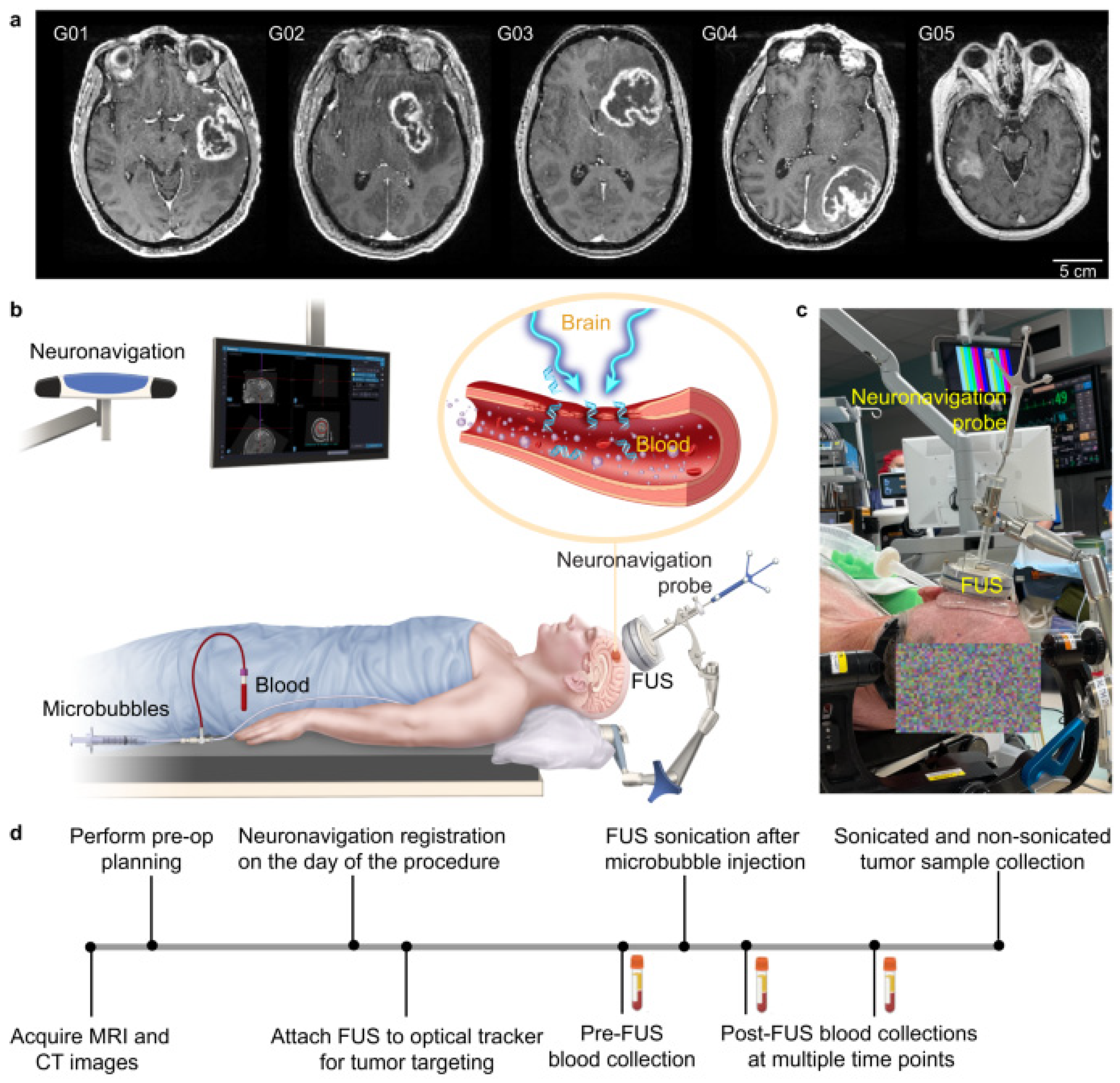 Biomimetics 09 00645 g004 Biomimetics 09 00645 g004